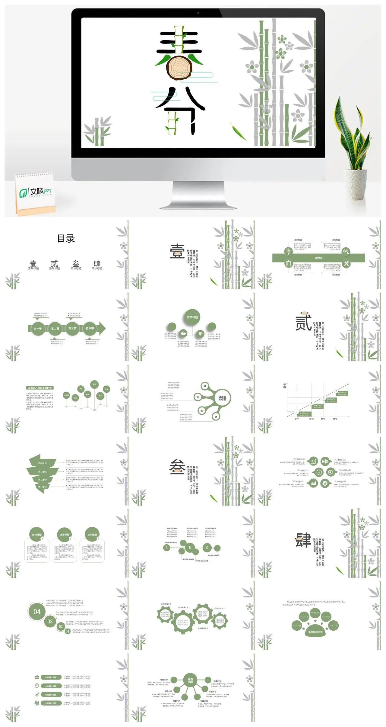 春分竹类植物介绍PPT-PPTCAT
