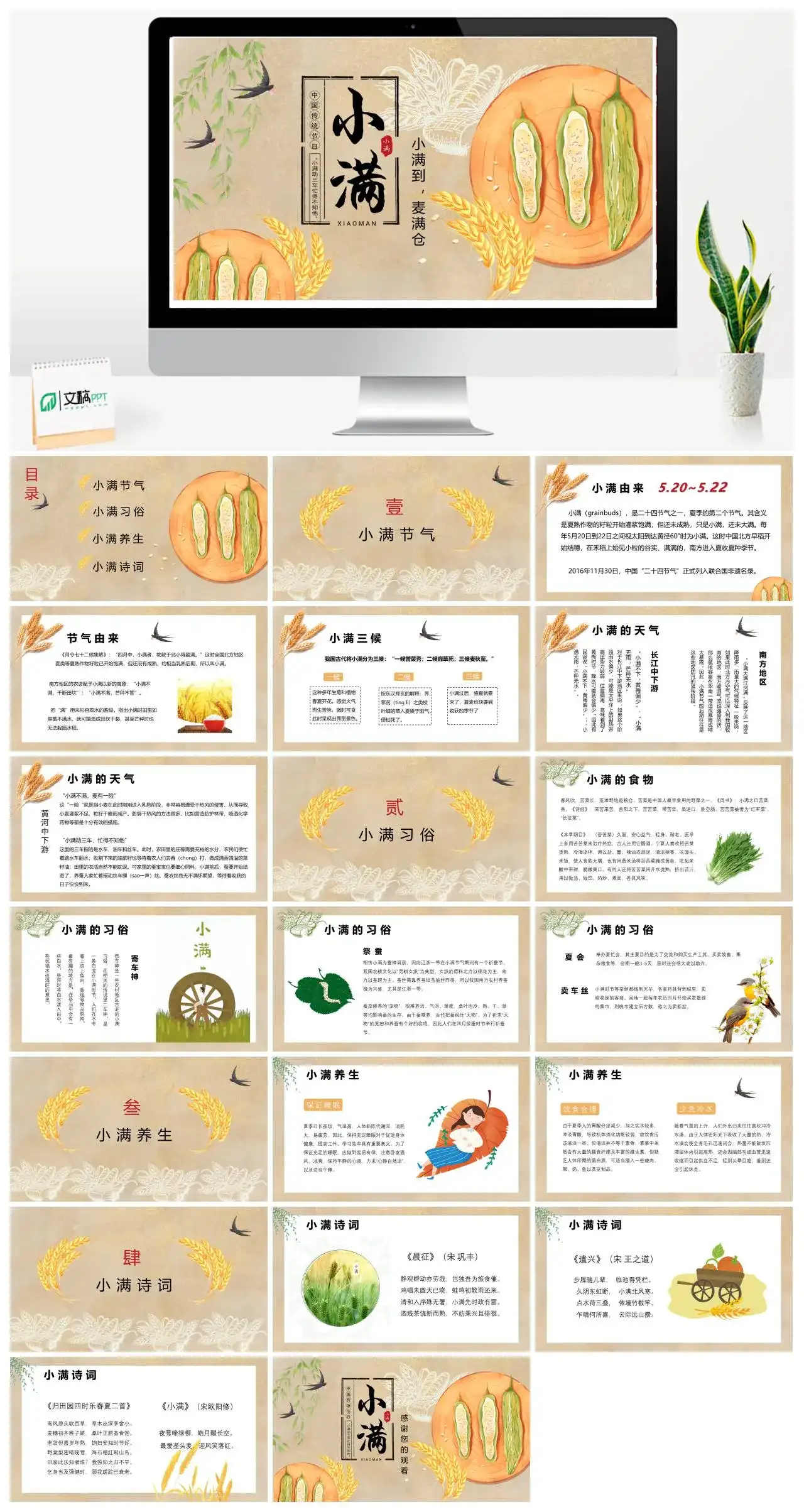 中国风中国传统节日小满PPT模板
