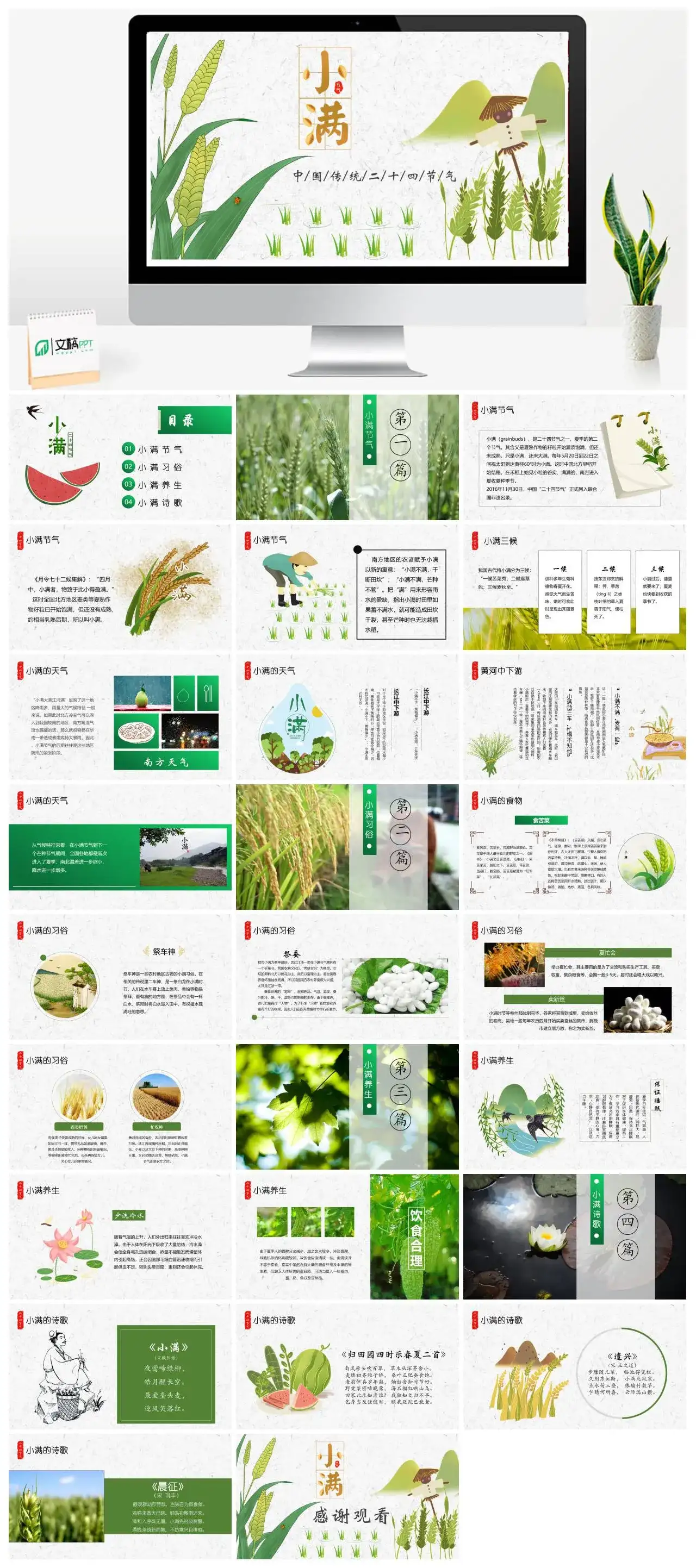 中国传统二十四节气小满PPT模板