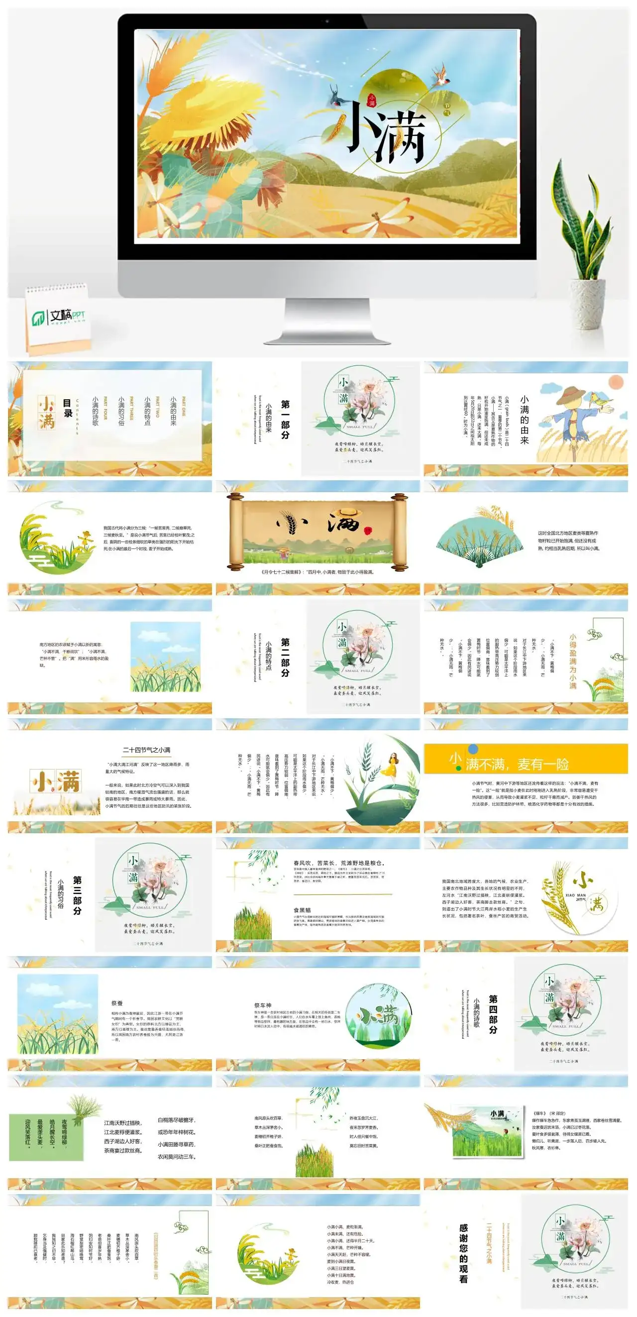 简约二十四节气小满PPT模板