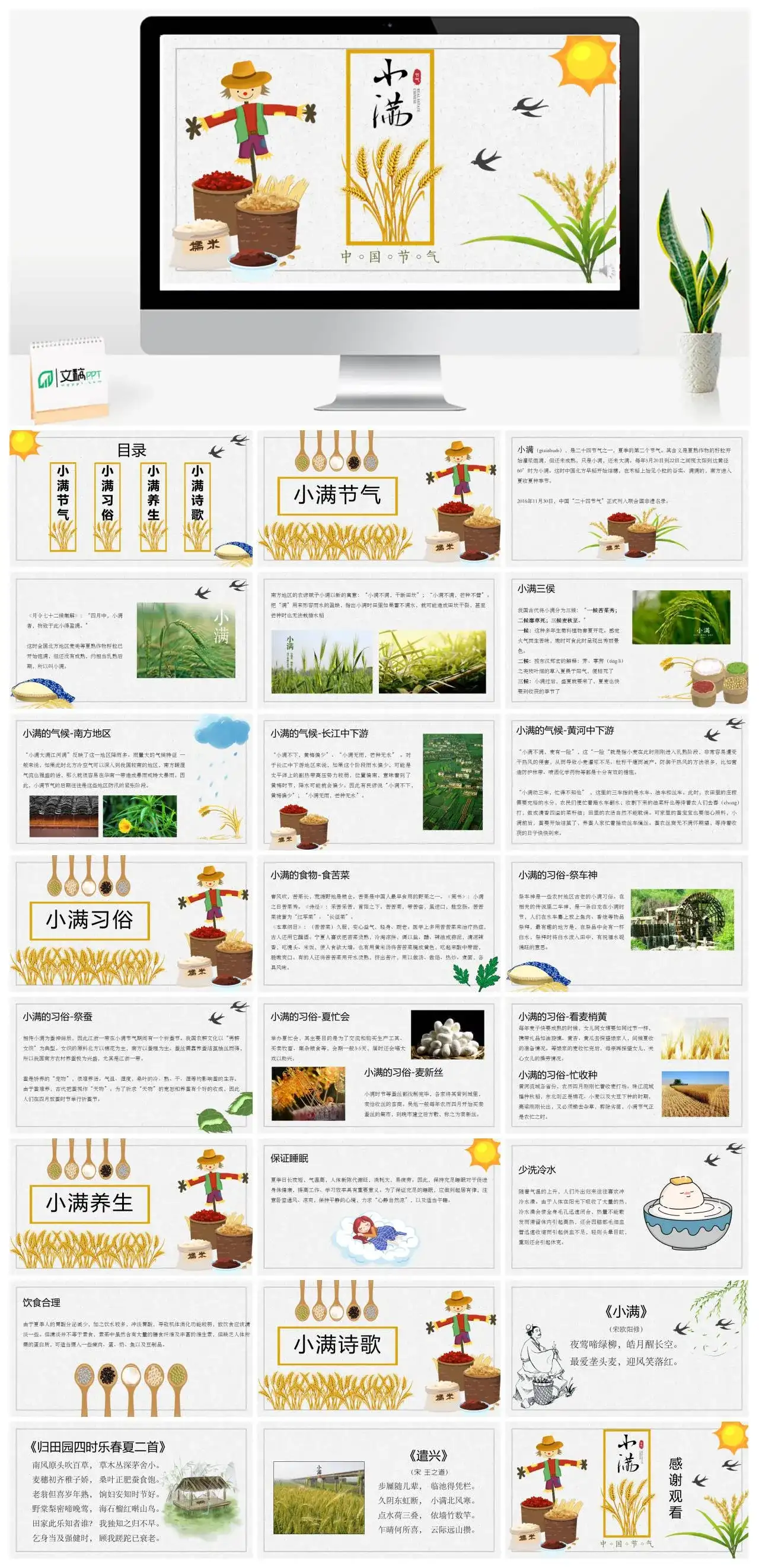 简约中国节气小满PPT模板