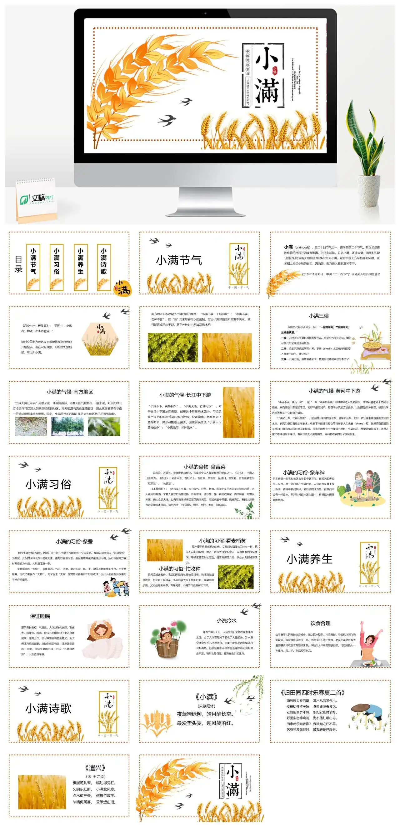 简约中国传统节日小满PPT模板