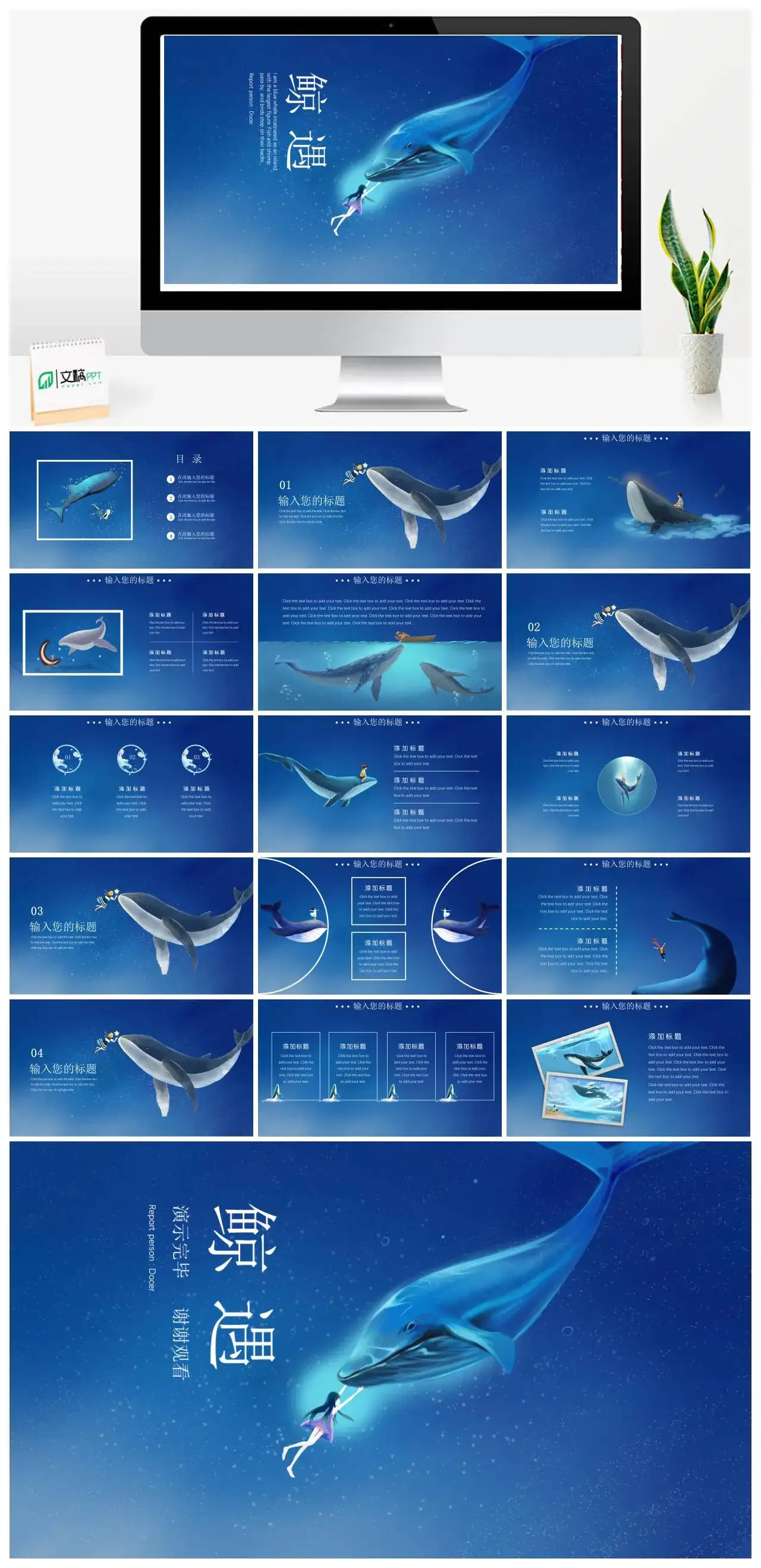 治愈系鲸遇PPT模板