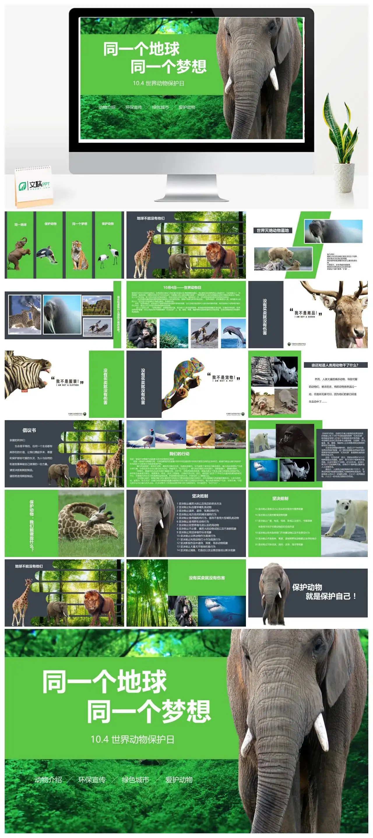 小清新世界动物保护日环保宣传PPT模板
