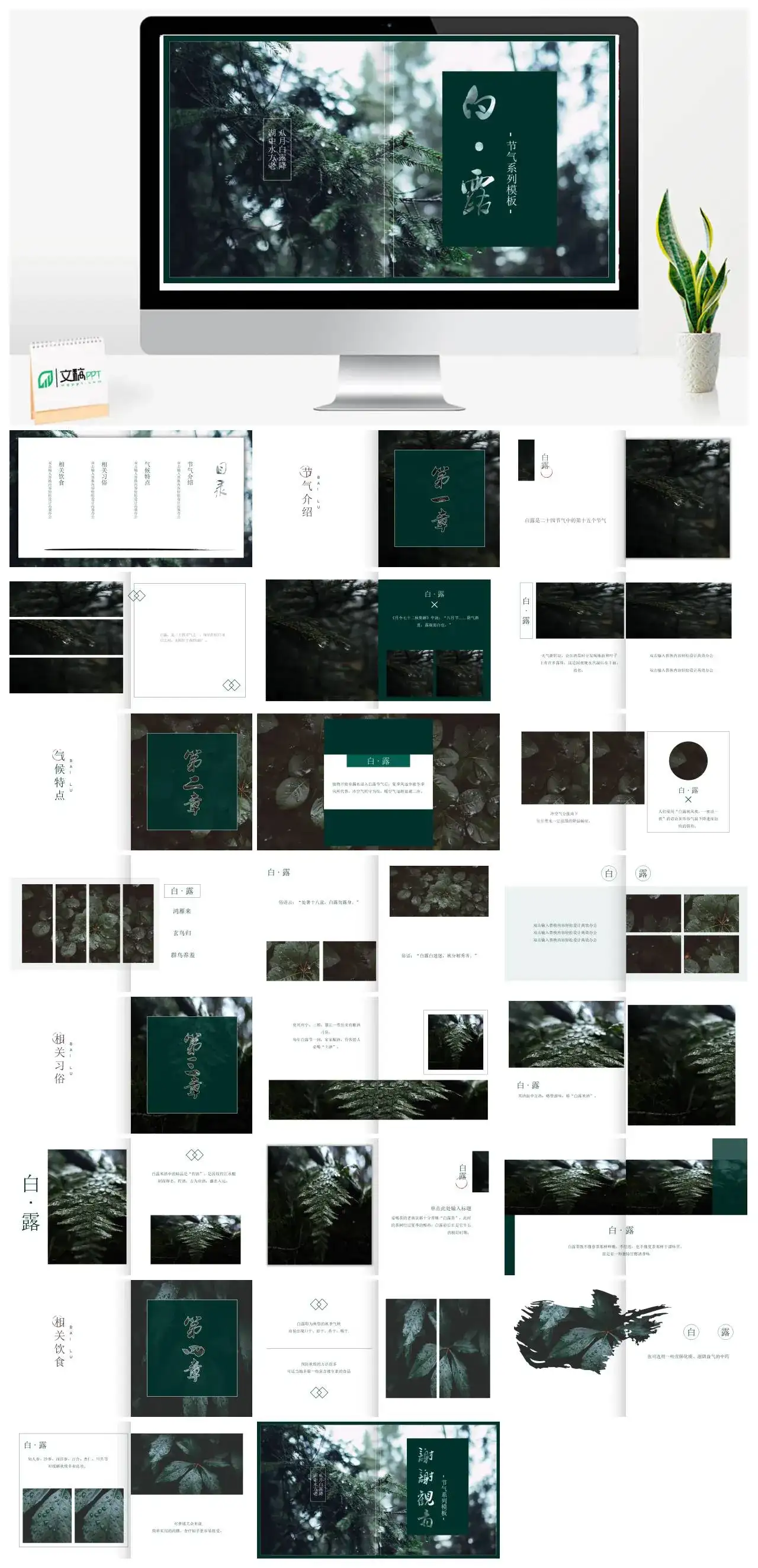 杂志风节气系列模板 白露PPT模板