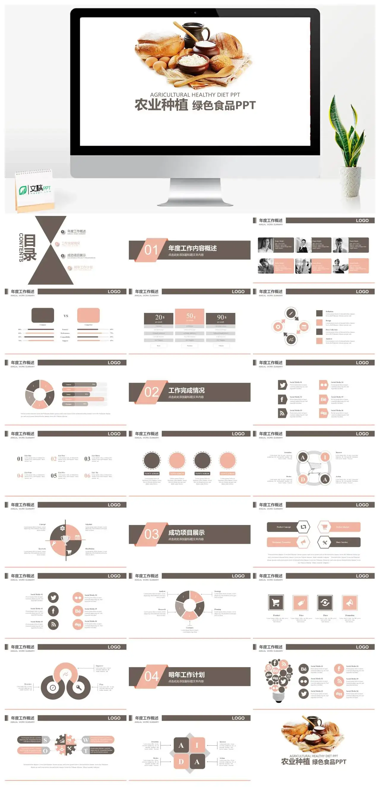 农业种植绿色食品工作概述项目完成情况工作计划PPT模板