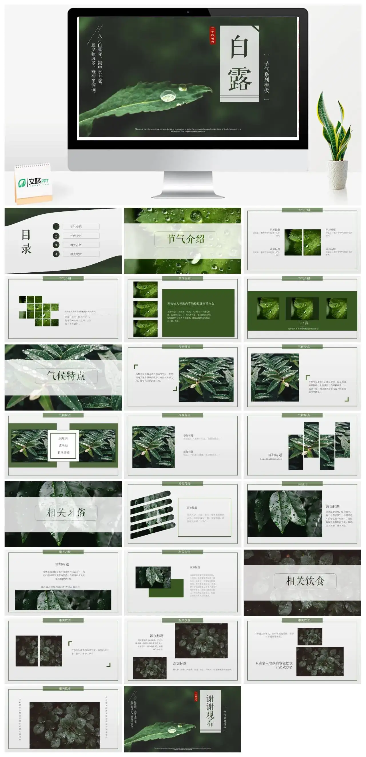 简约二十四节气白露PPT模板