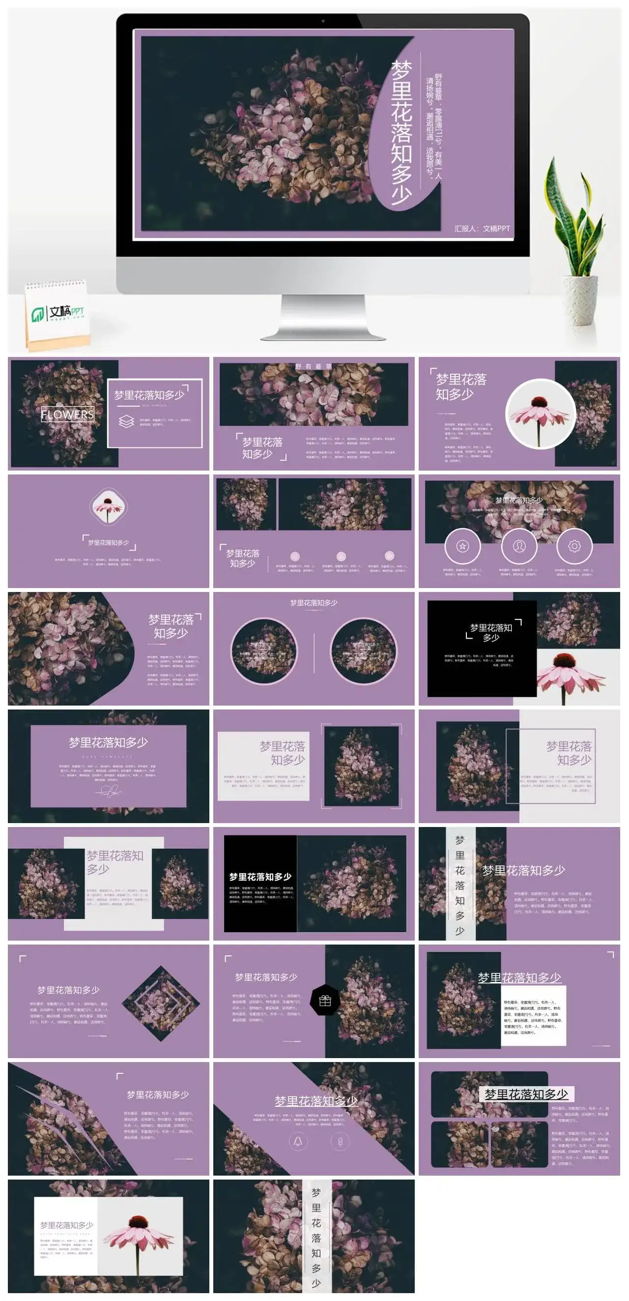 杂志风高雅紫相册图片展示PPT模板