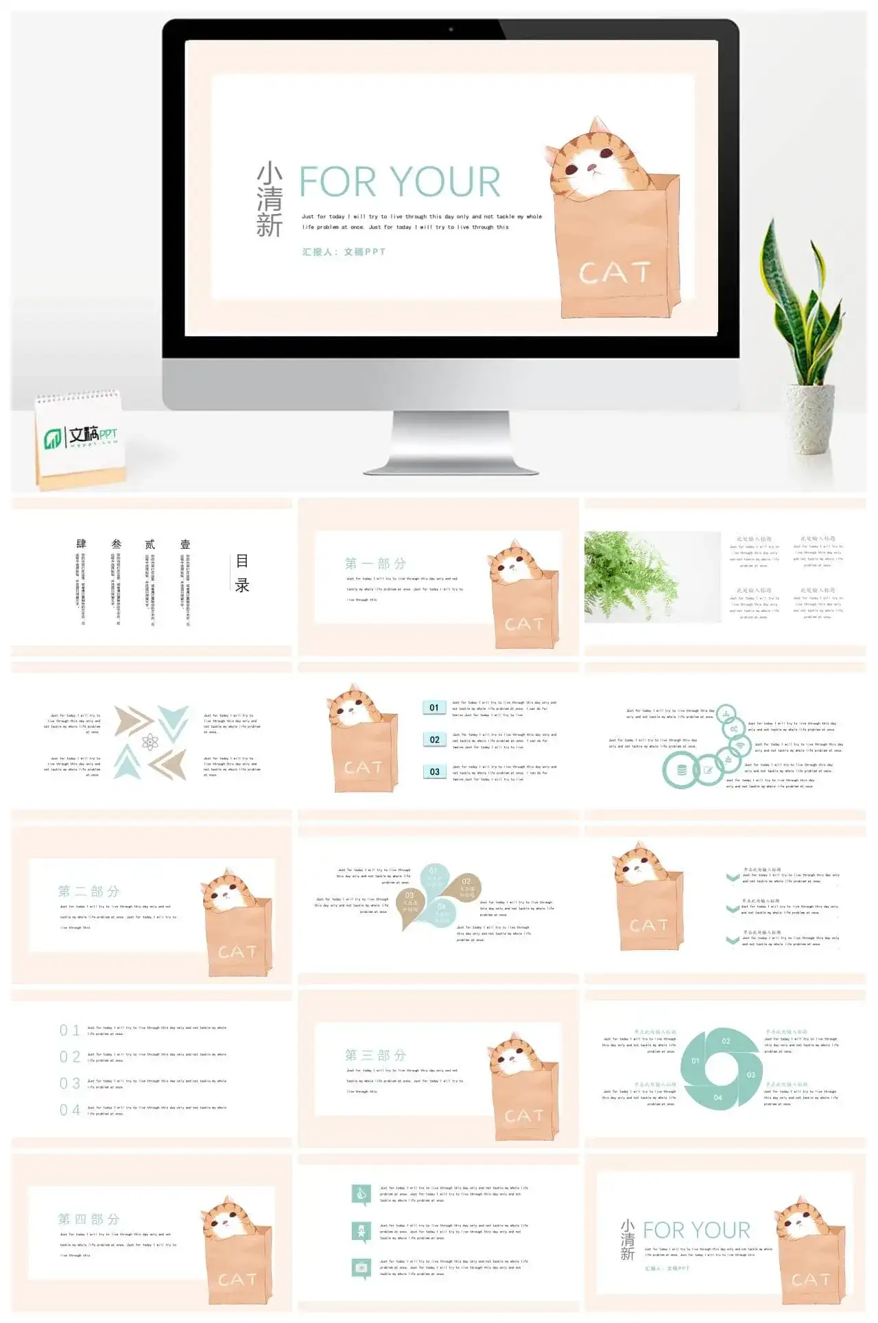 小猫咪小清新模板