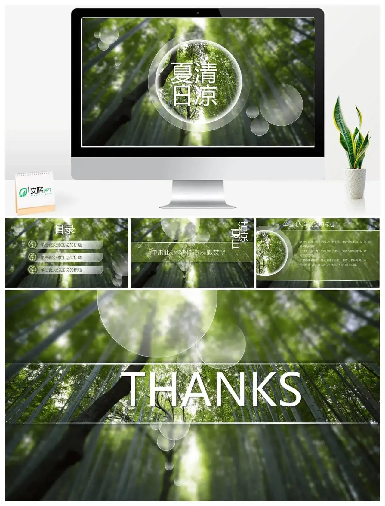 清凉夏日竹子竹林PPT模板