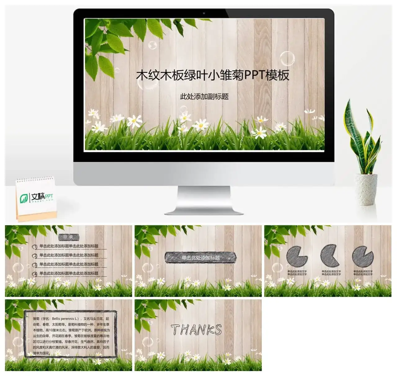 木纹木板绿叶小雏菊PPT模板