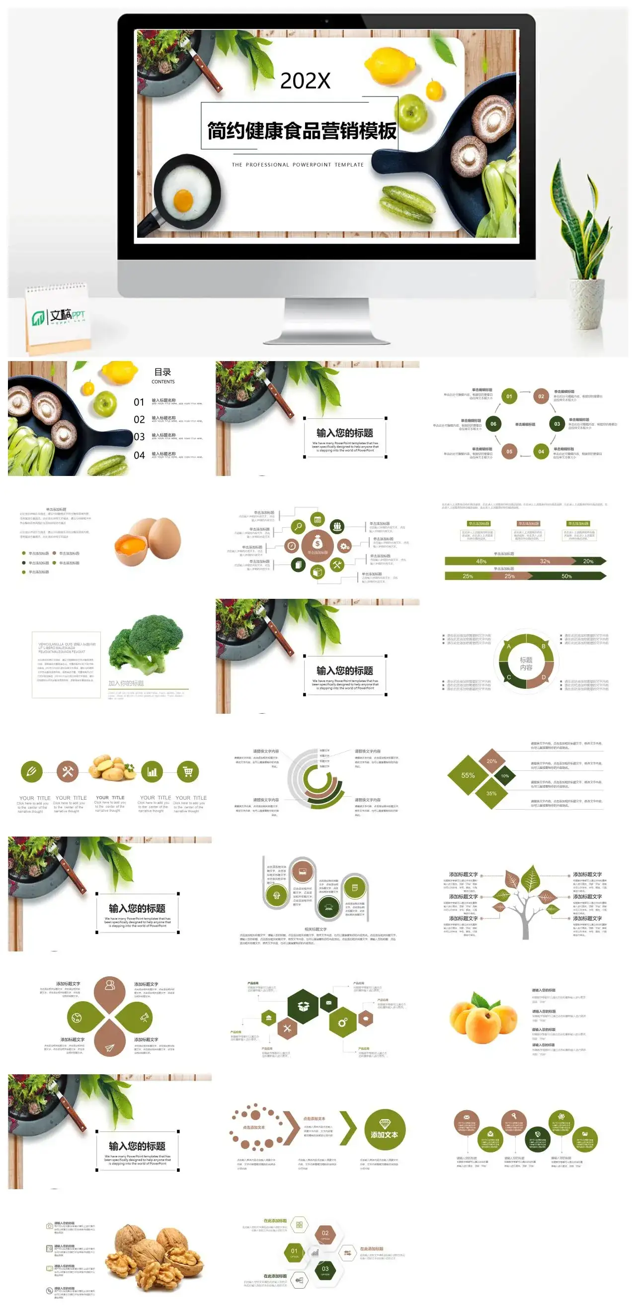简约大气健康食品营销策划PPT模板