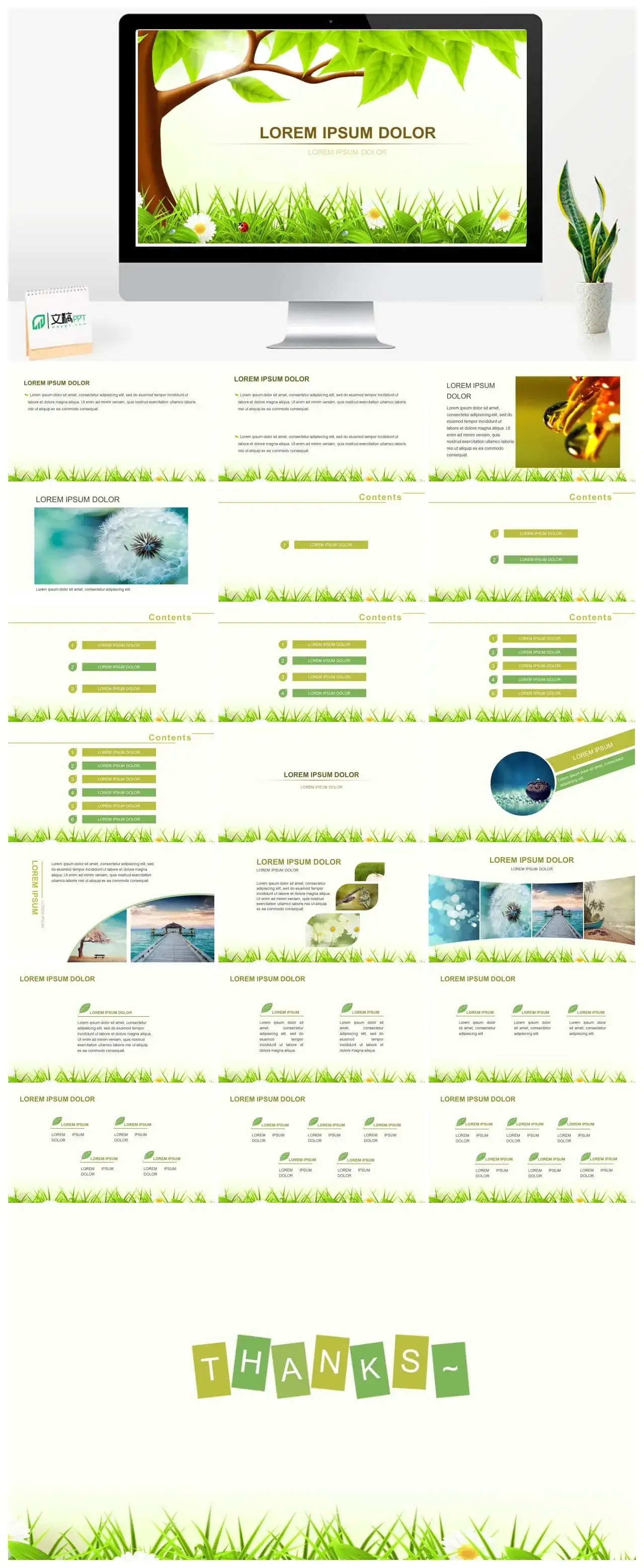 清新卡通大树草地PPT模板