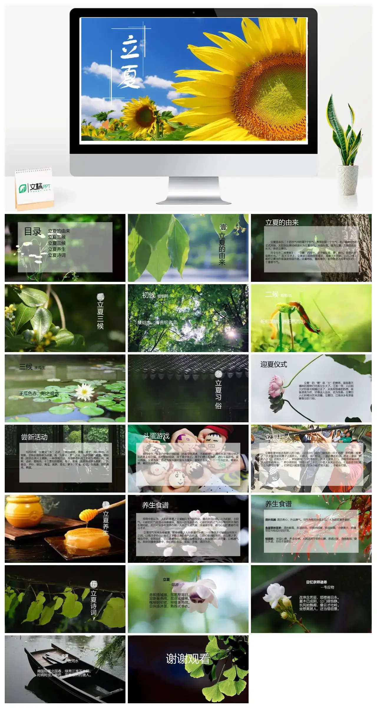 蓝色清新向日葵立夏节气教育说课PPT模板