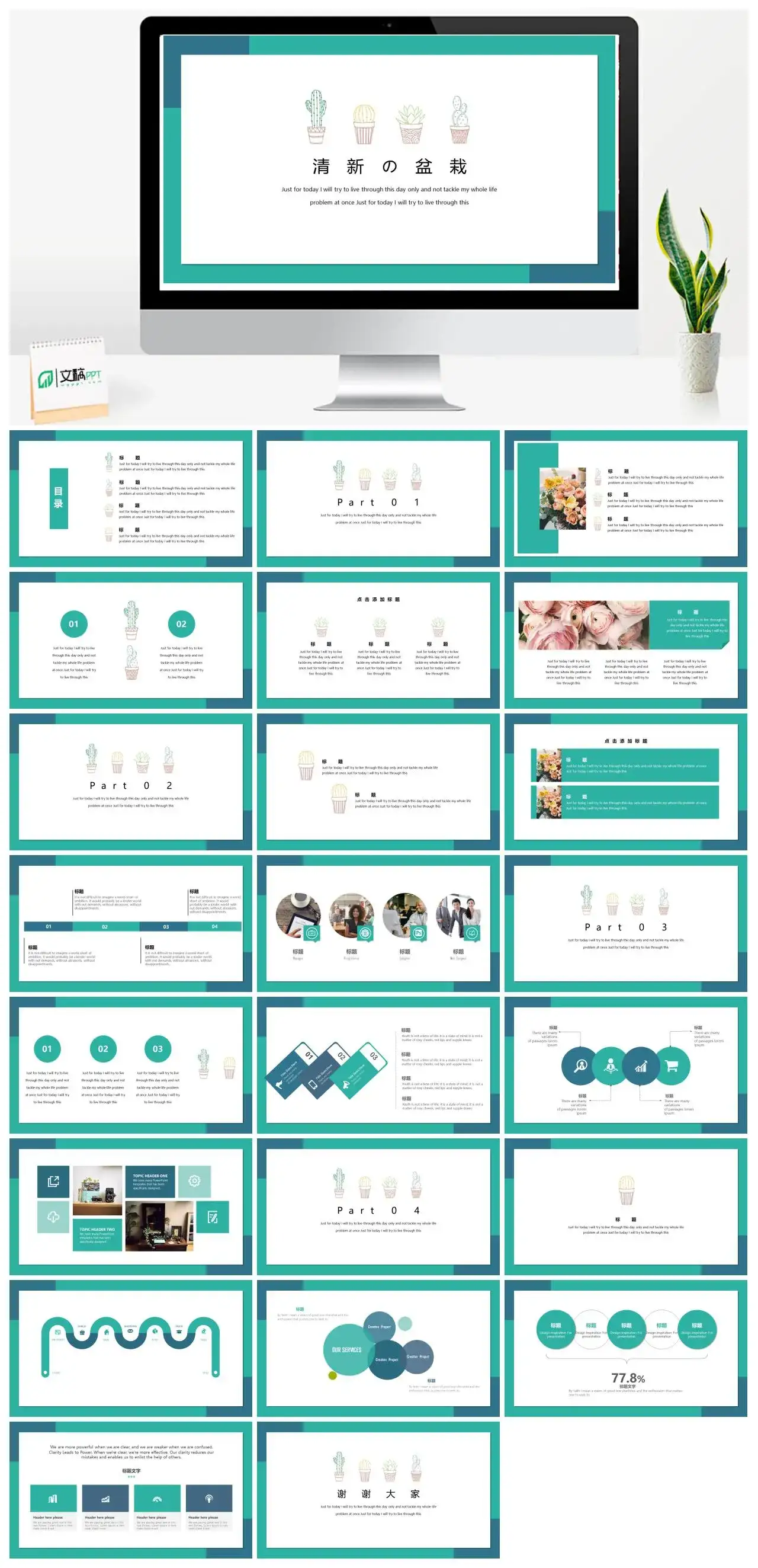 简洁绿色盆栽多肉植物PPT模板