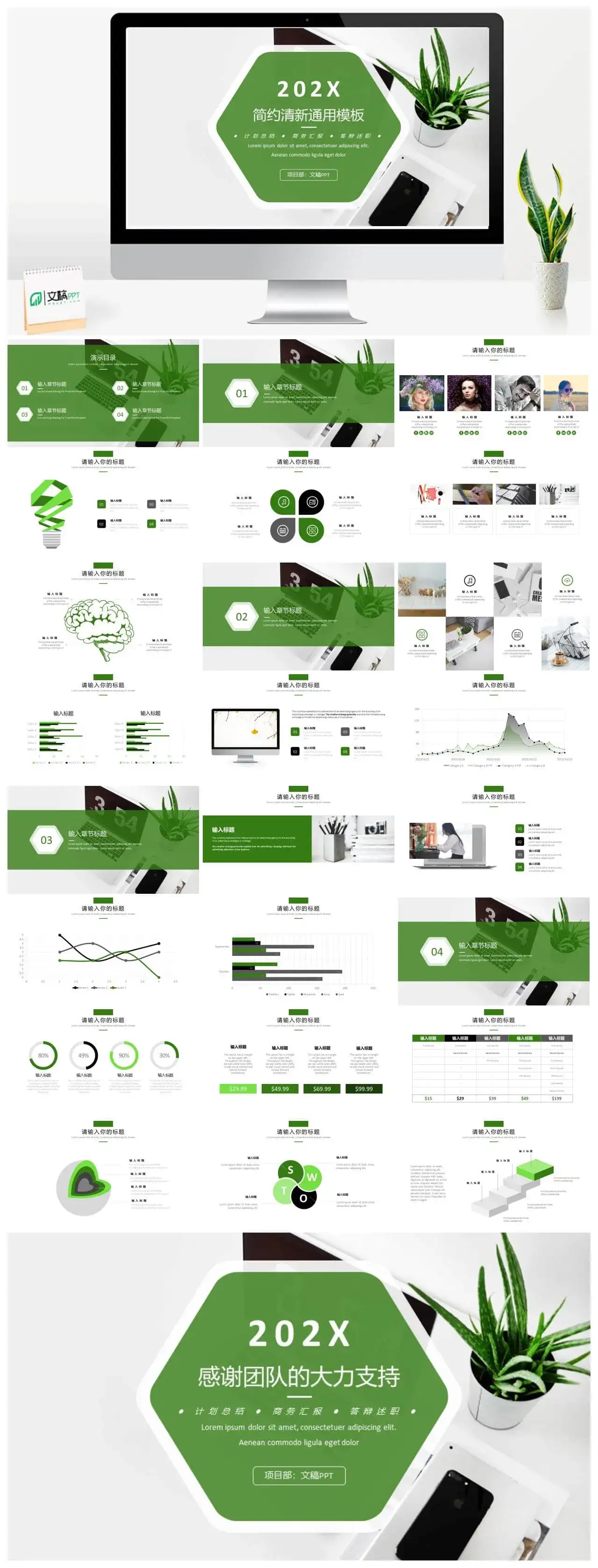 202X夏日清新简约风商务通用PPT模板