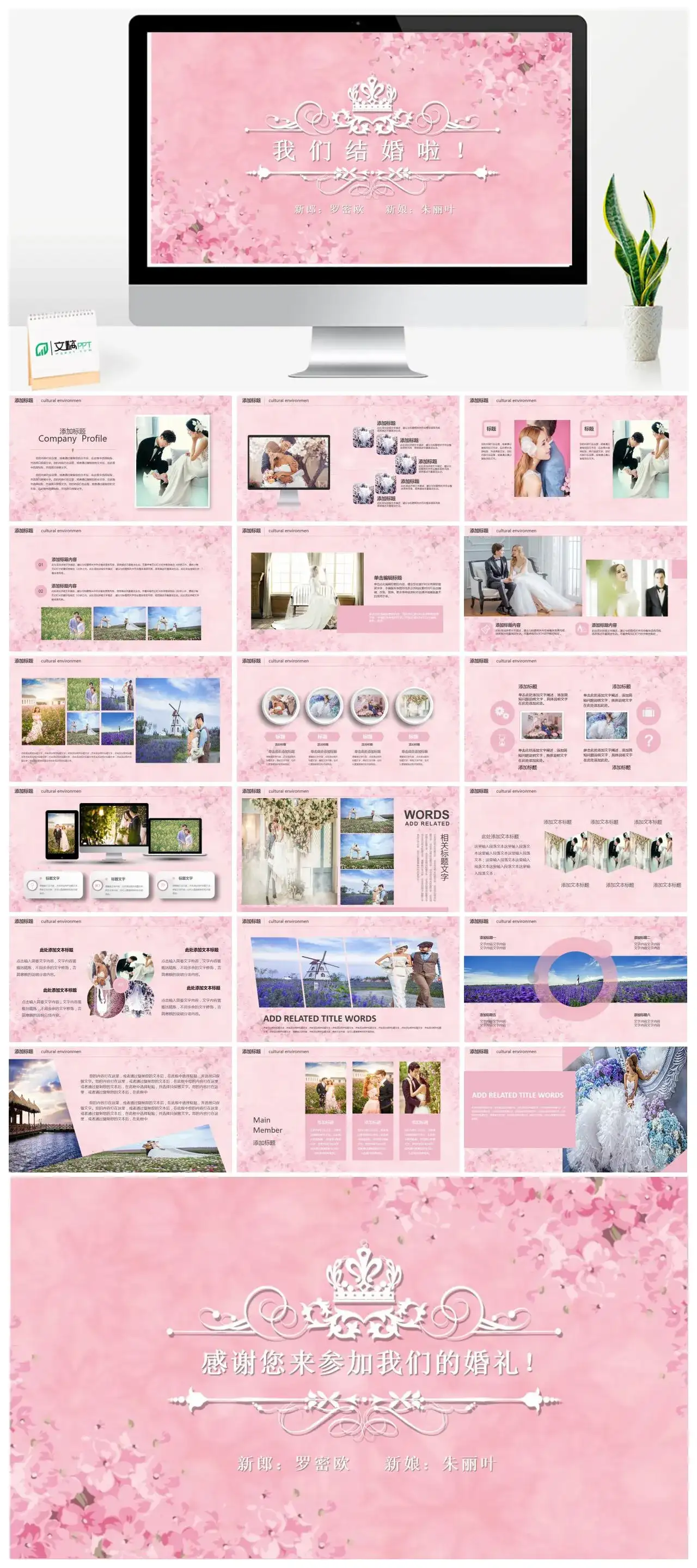 我们结婚啦结婚婚礼邀请函策划书PPT模板