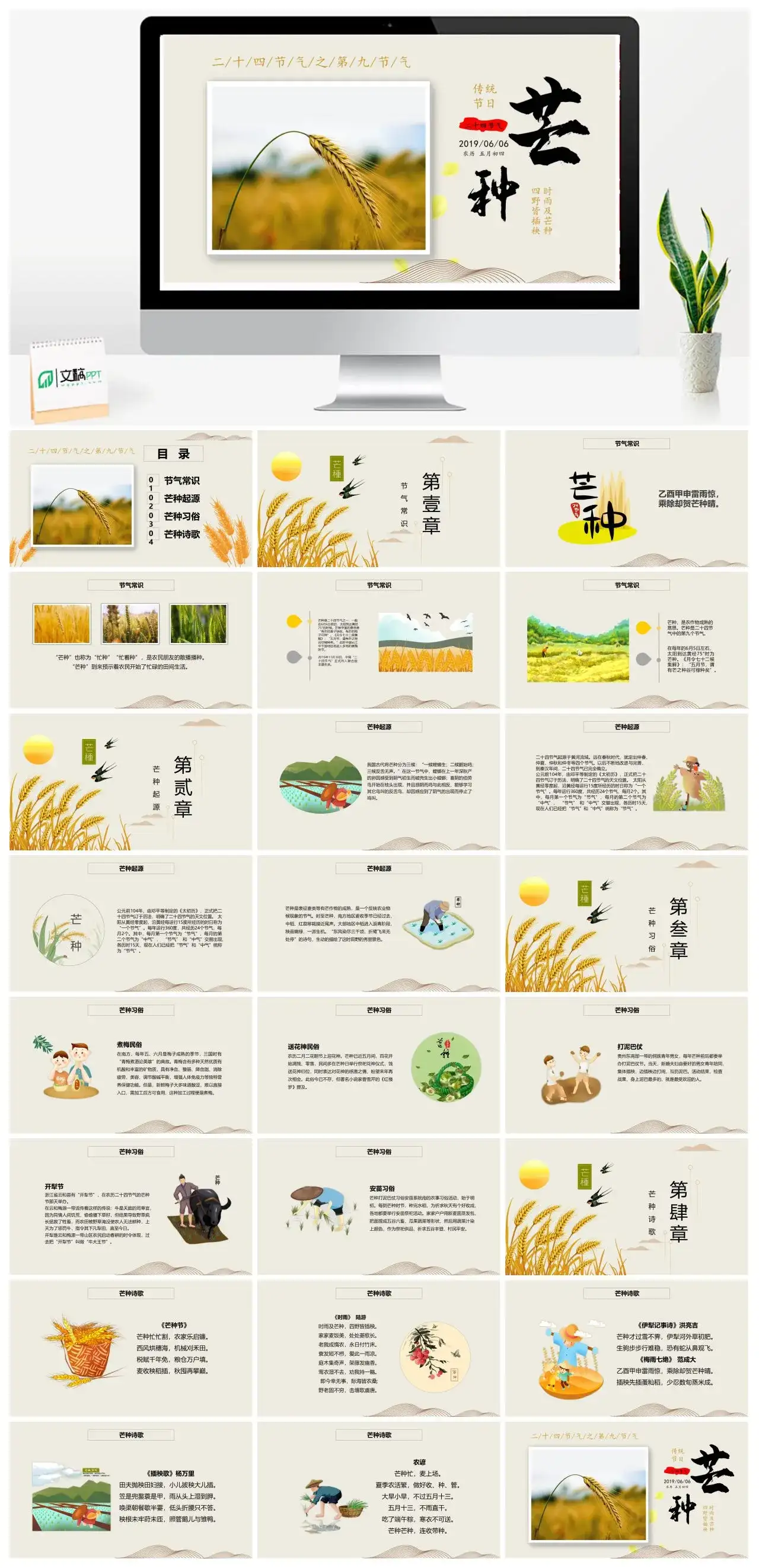 黄色小清新节气之芒种节日介绍PPT模板（3）