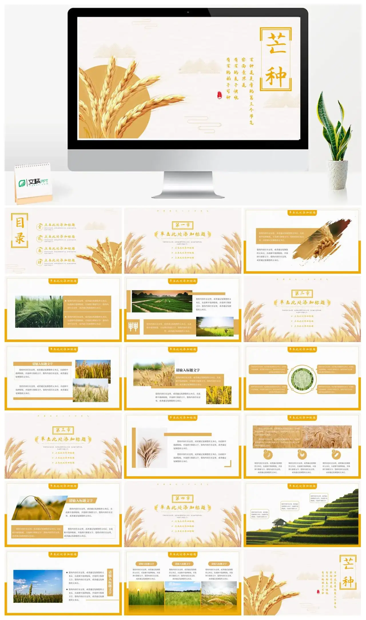 中国风二十四节气芒种PPT模板