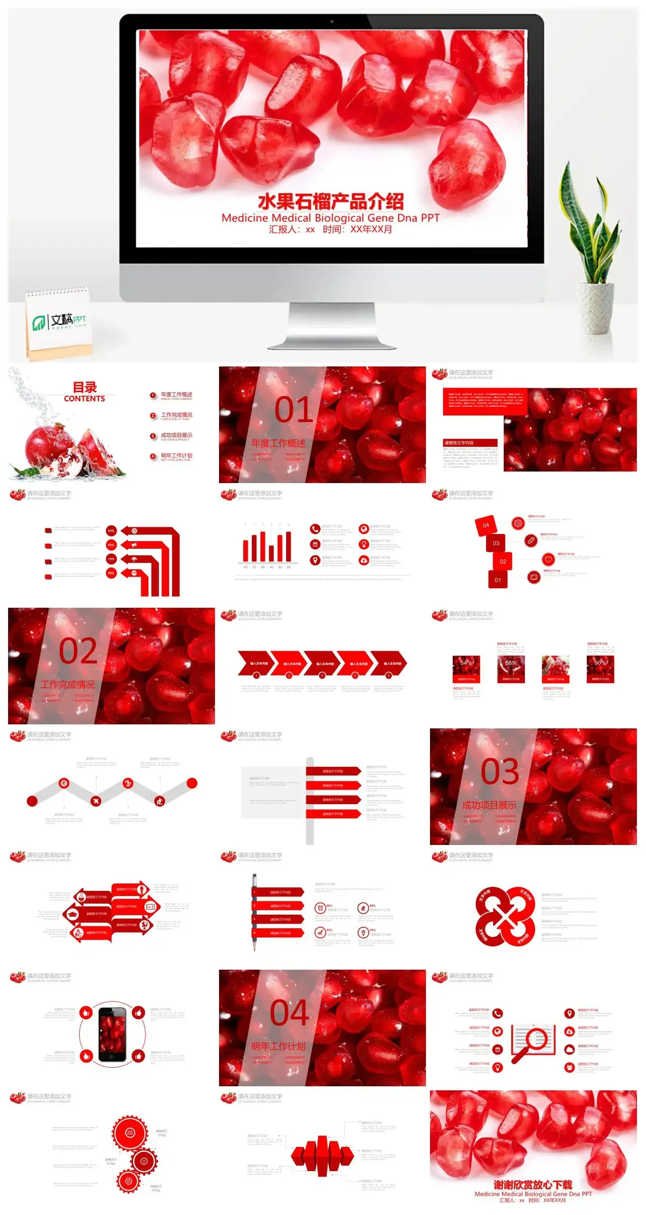水果石榴产品介绍PPT模板
