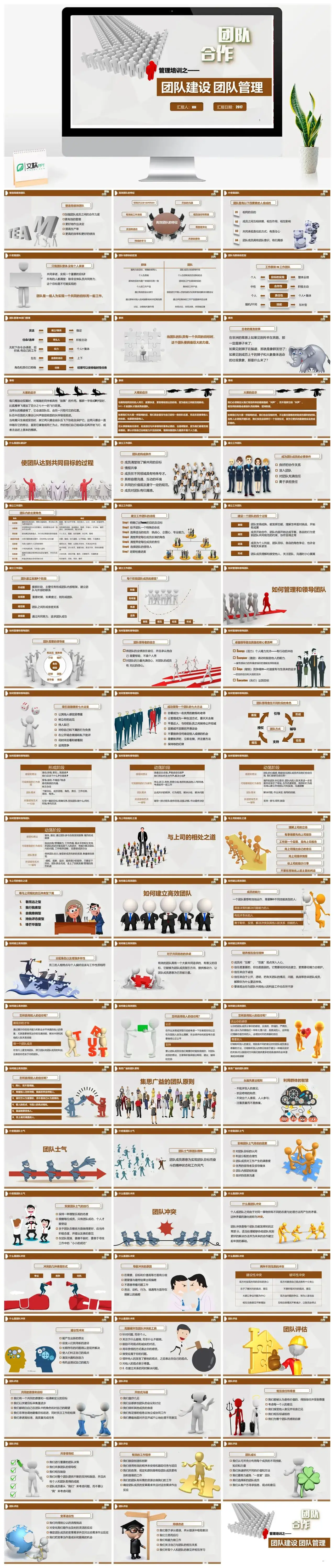 商务风人力资源团队合作团队建设与管理培训PPT模板