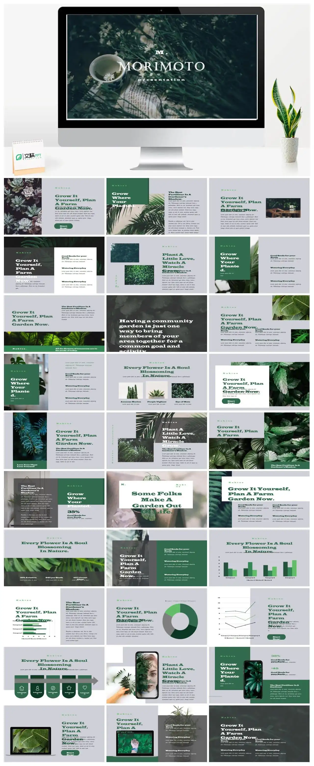 莫兰迪风尚PPTPPT素材下载网