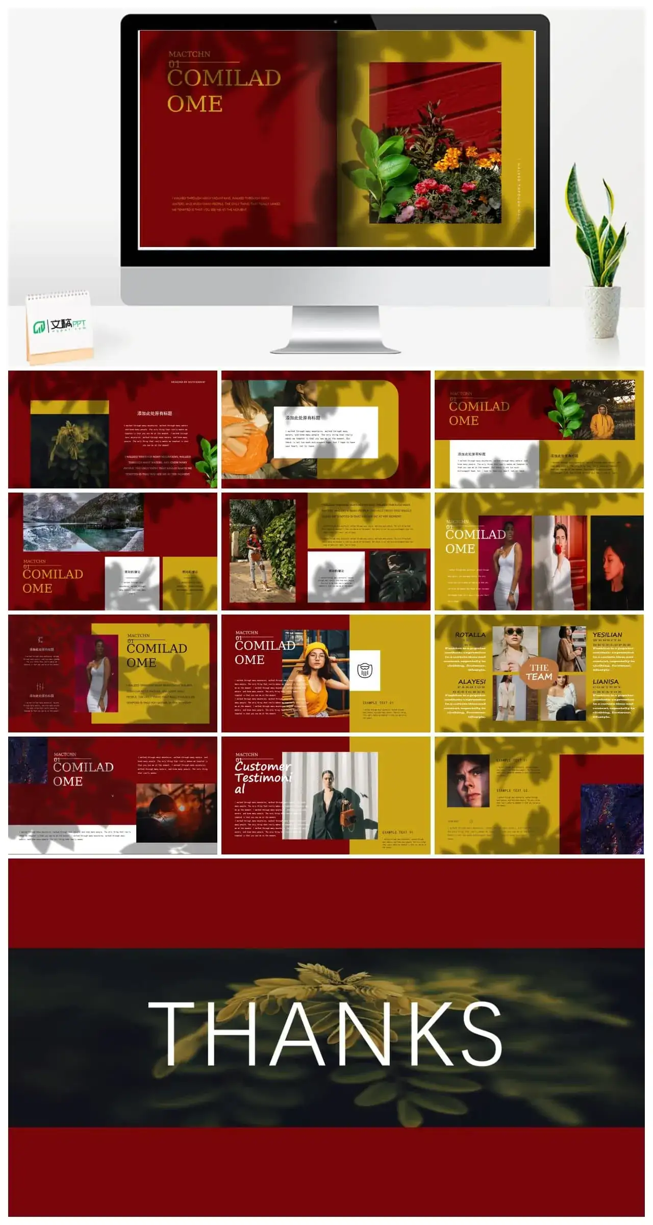 莫兰迪风尚PPT精美PPT课件