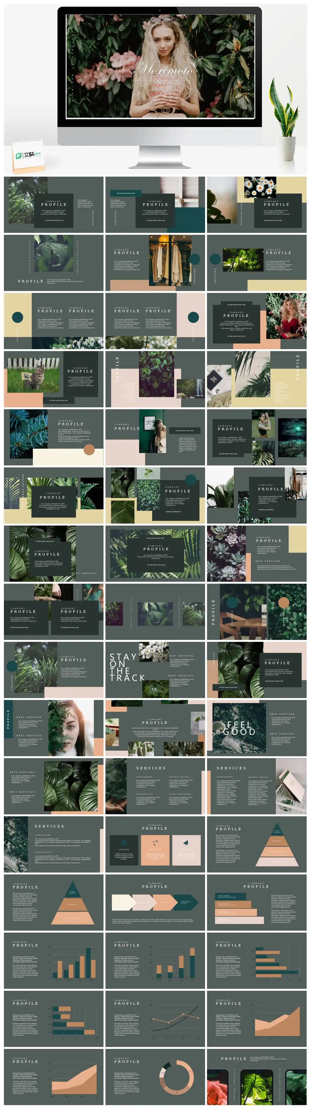 莫兰迪风尚PPT免费ppt课件