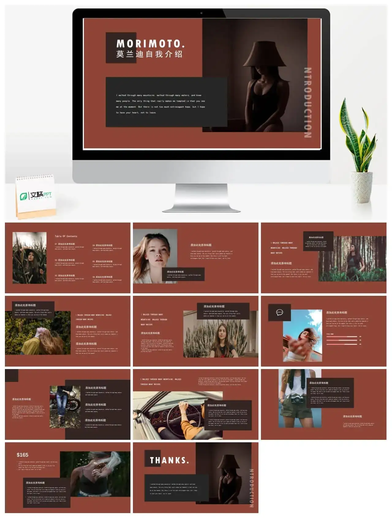 莫兰迪自我介绍PPT