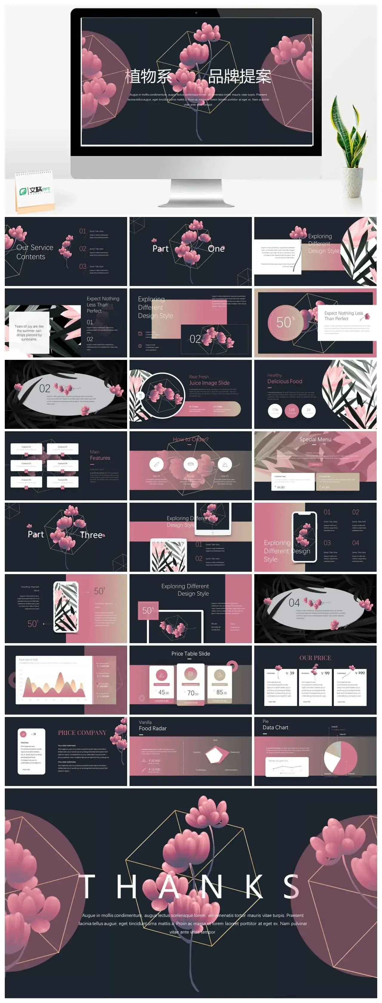 植物系品牌提案PPT模板