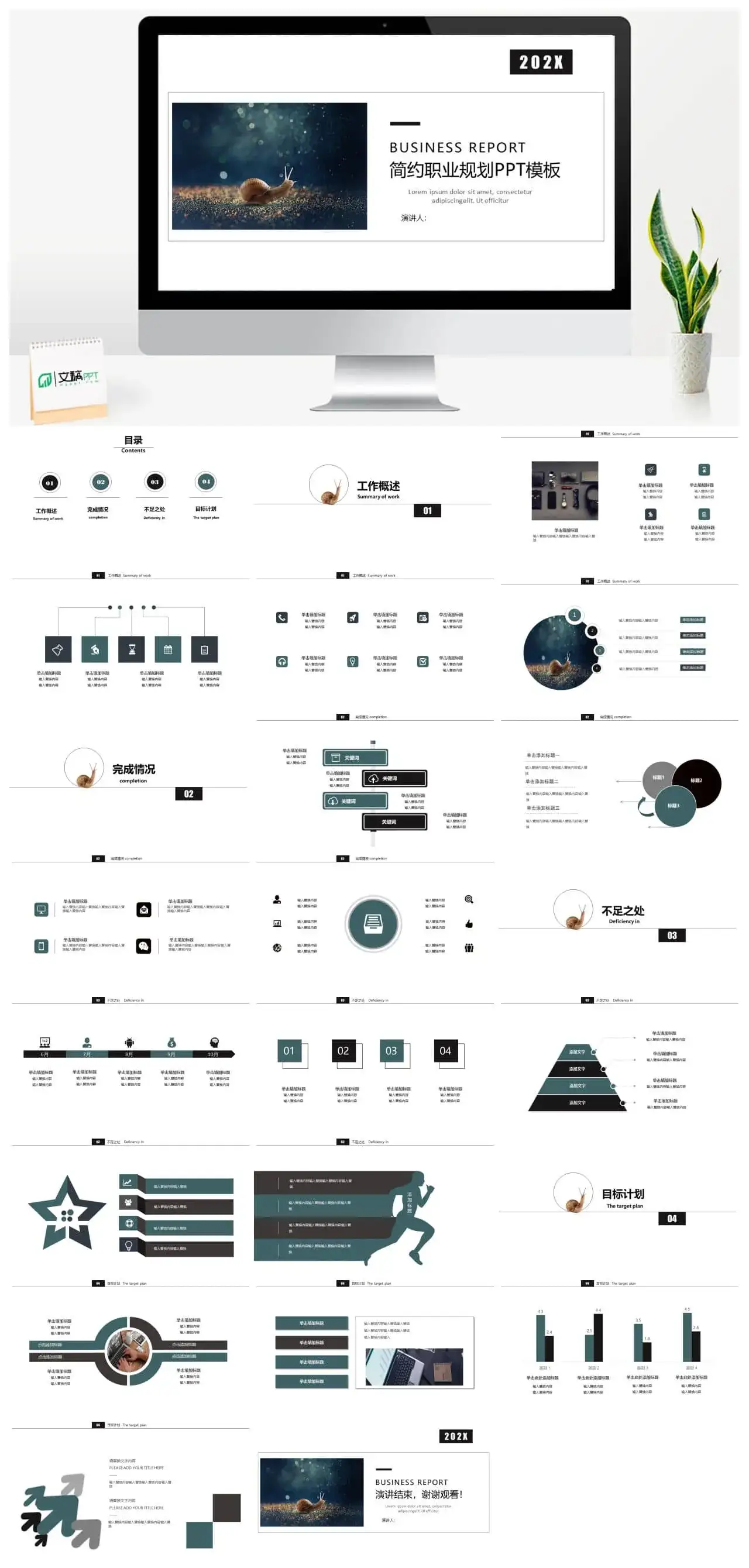 202X简约清新职业规划PPT模板