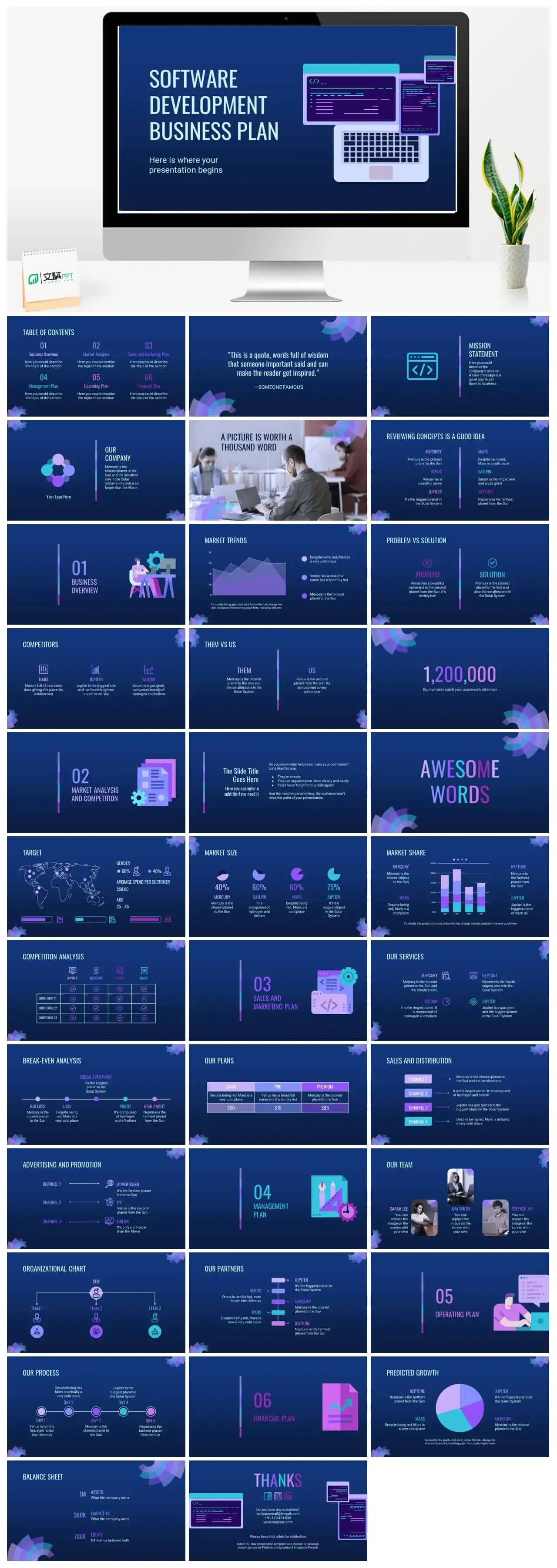 SOFTWARE DEVELOPMENT BUSINESS PLAN