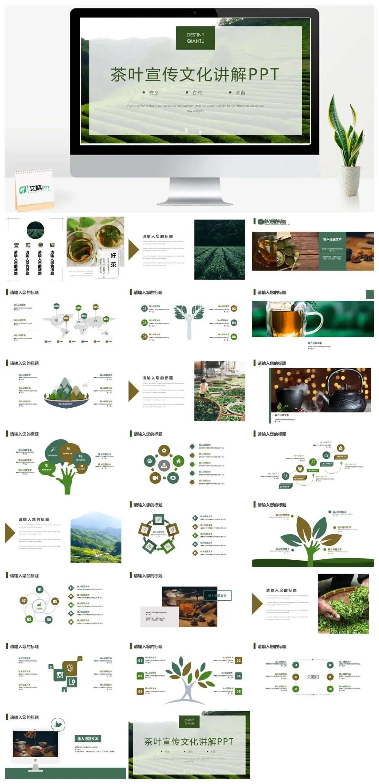 茶叶宣传文化讲解PPT