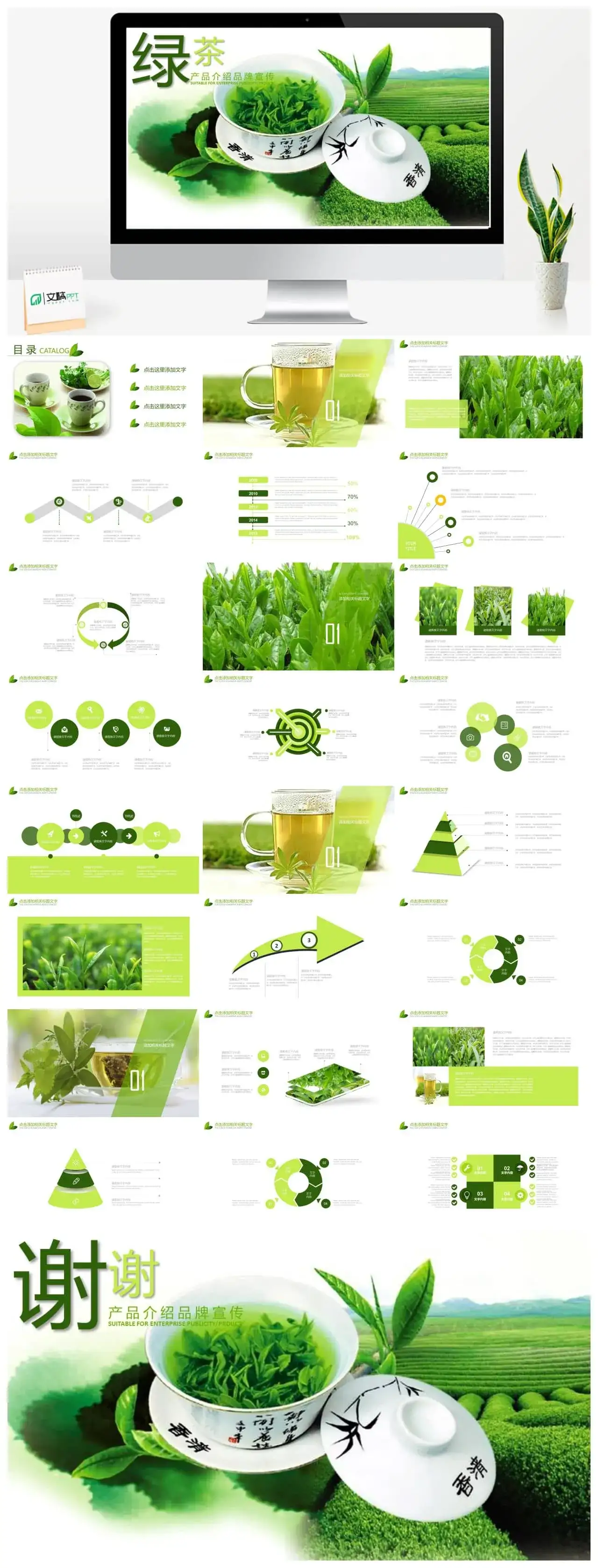 绿茶产品介绍品牌宣传PPT