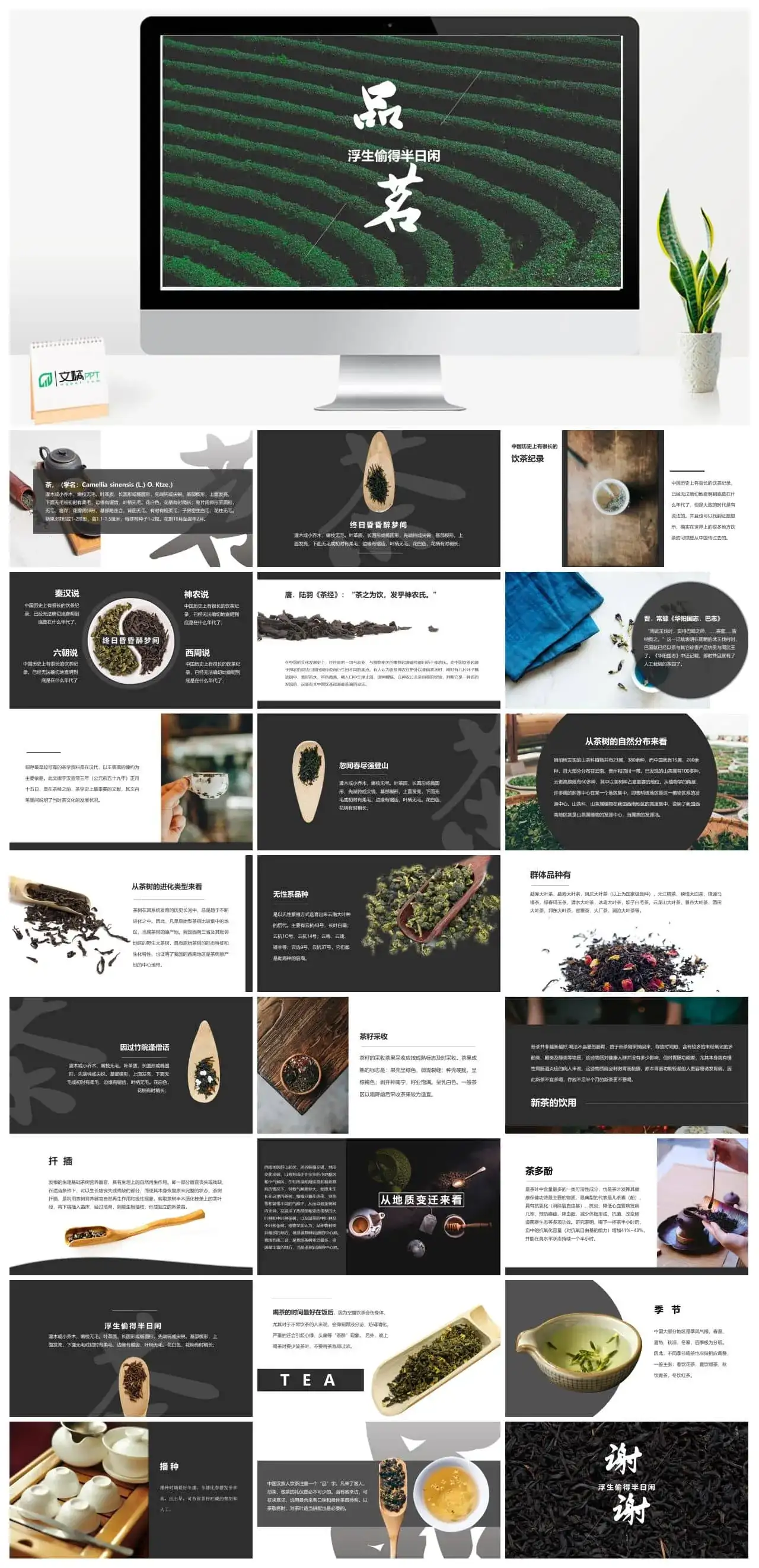 品茗浮生偷得半日闲幻灯片模板