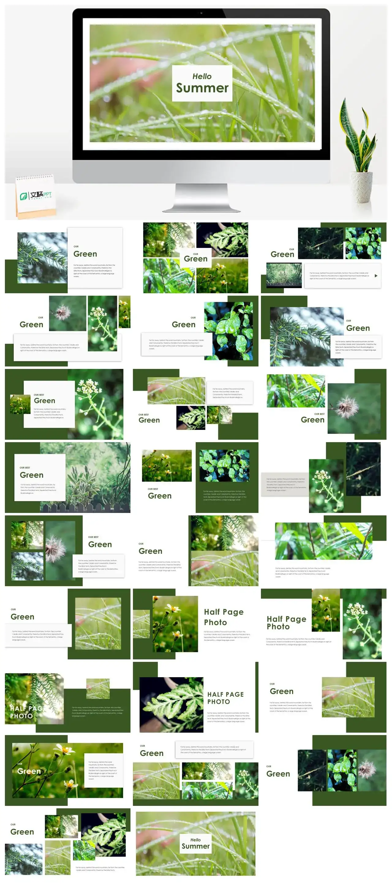 夏天夏日小清新相册通用PPT模板