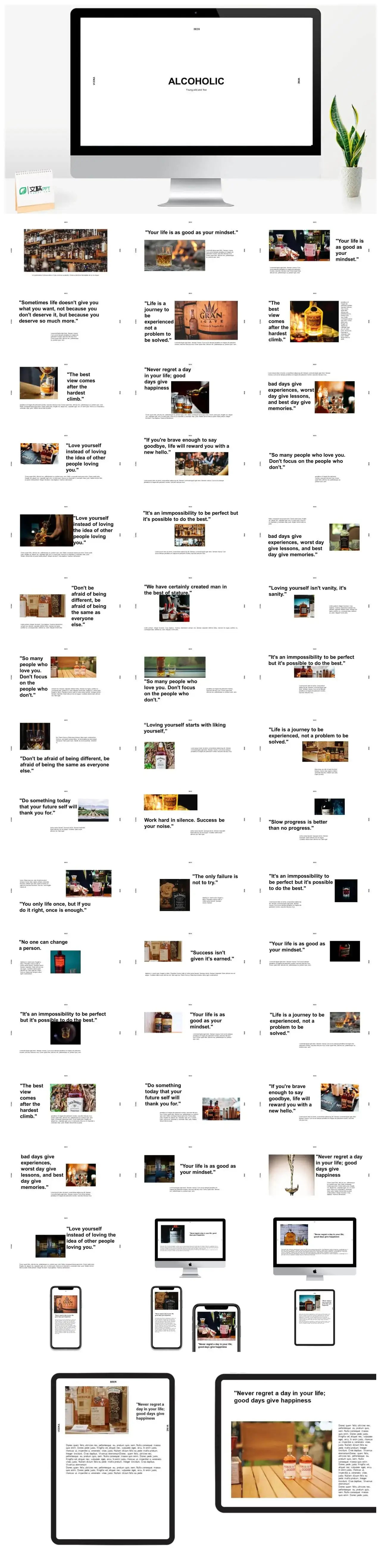 黑白威士忌计划总结PPT模板