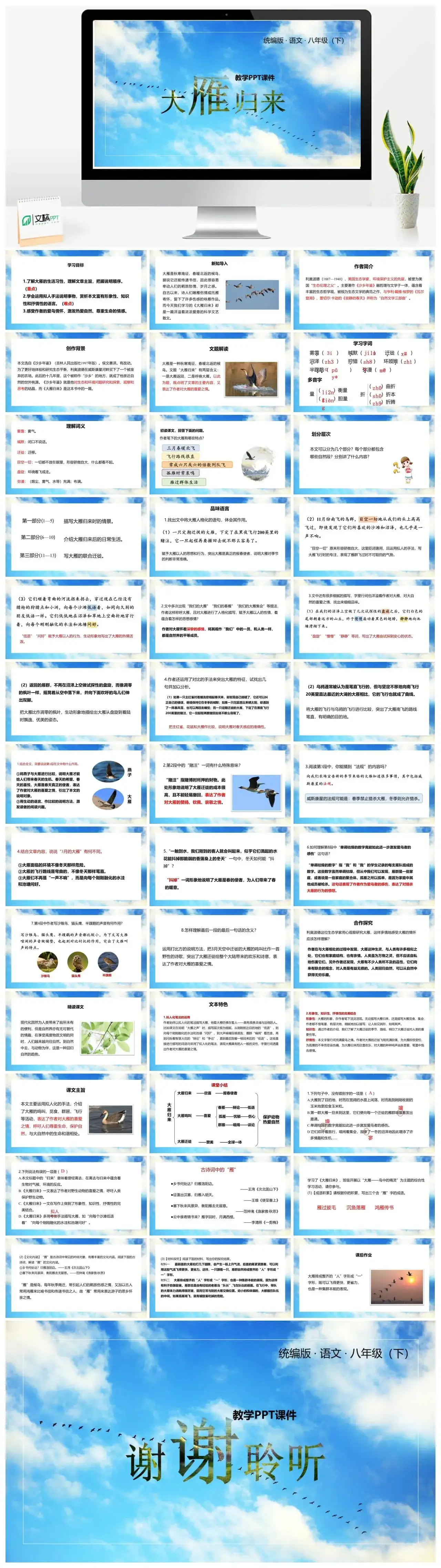 语文八（下）第2单元 7《大雁归来》