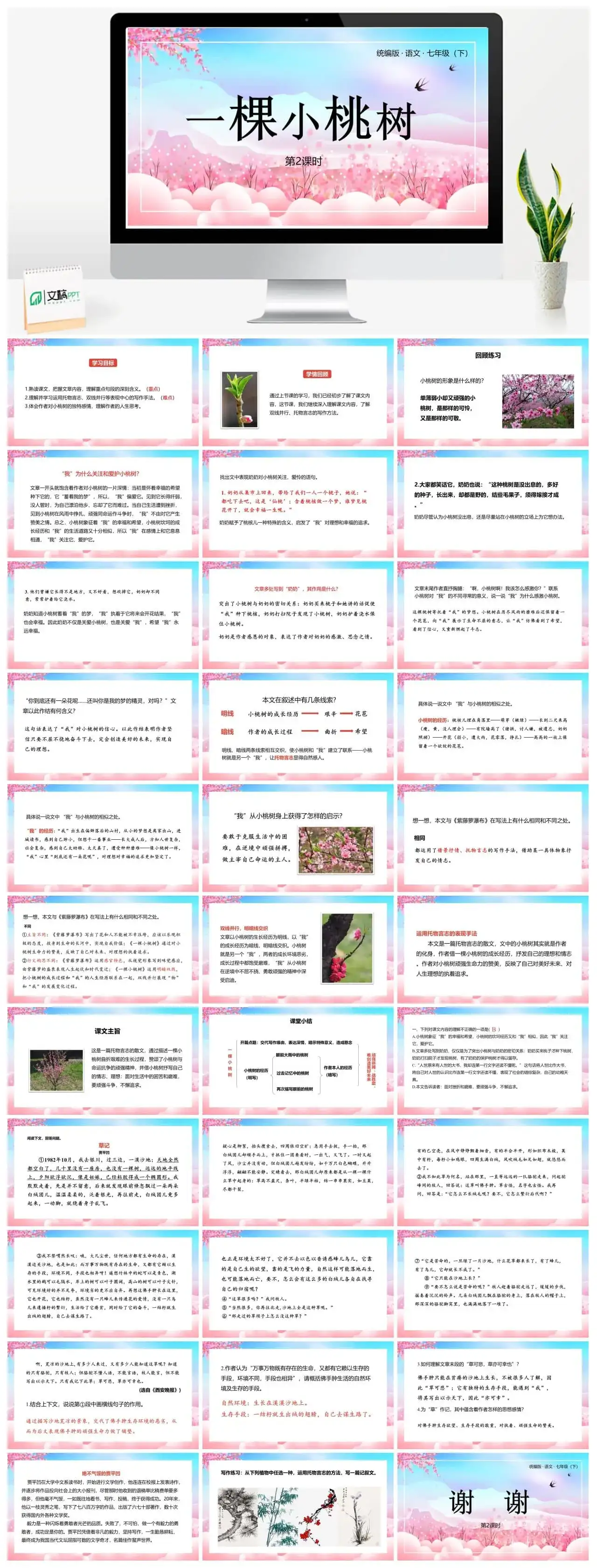 统编版语文七（下）第5单元18《一棵小桃树》课时2