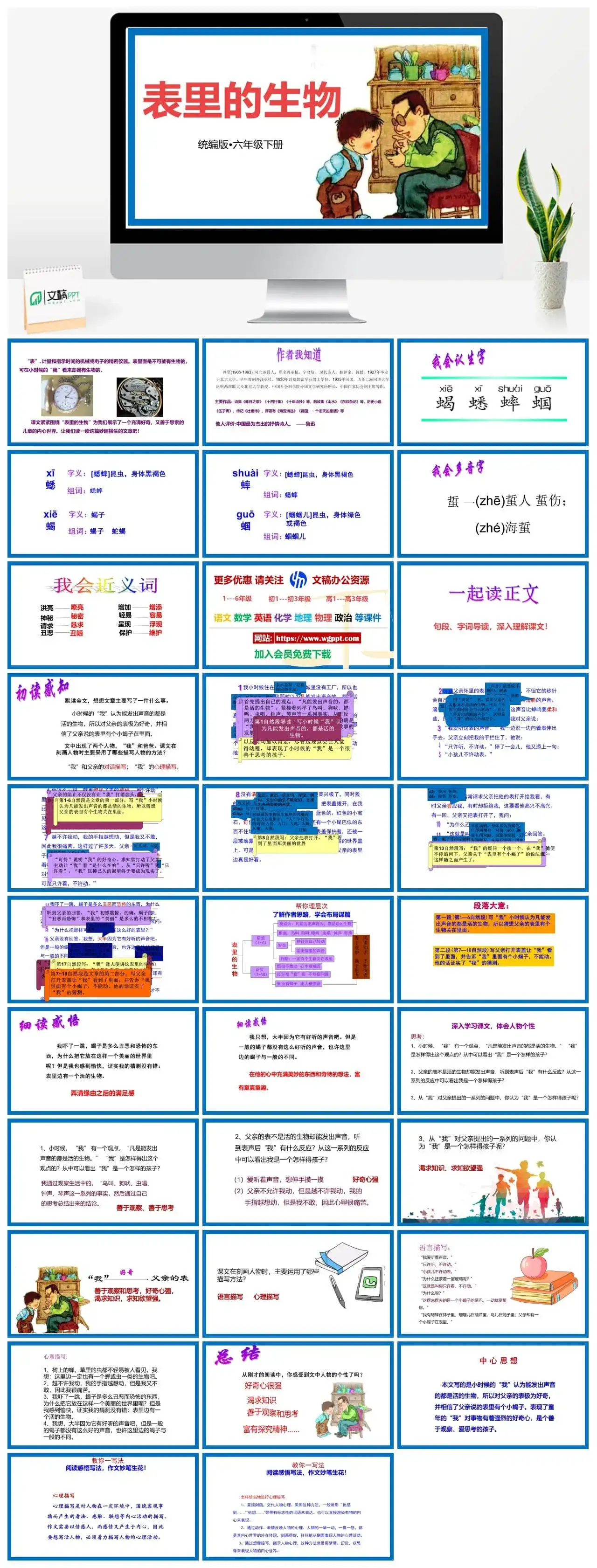 人教部编版语文六年级下册PPT课件表里的生物