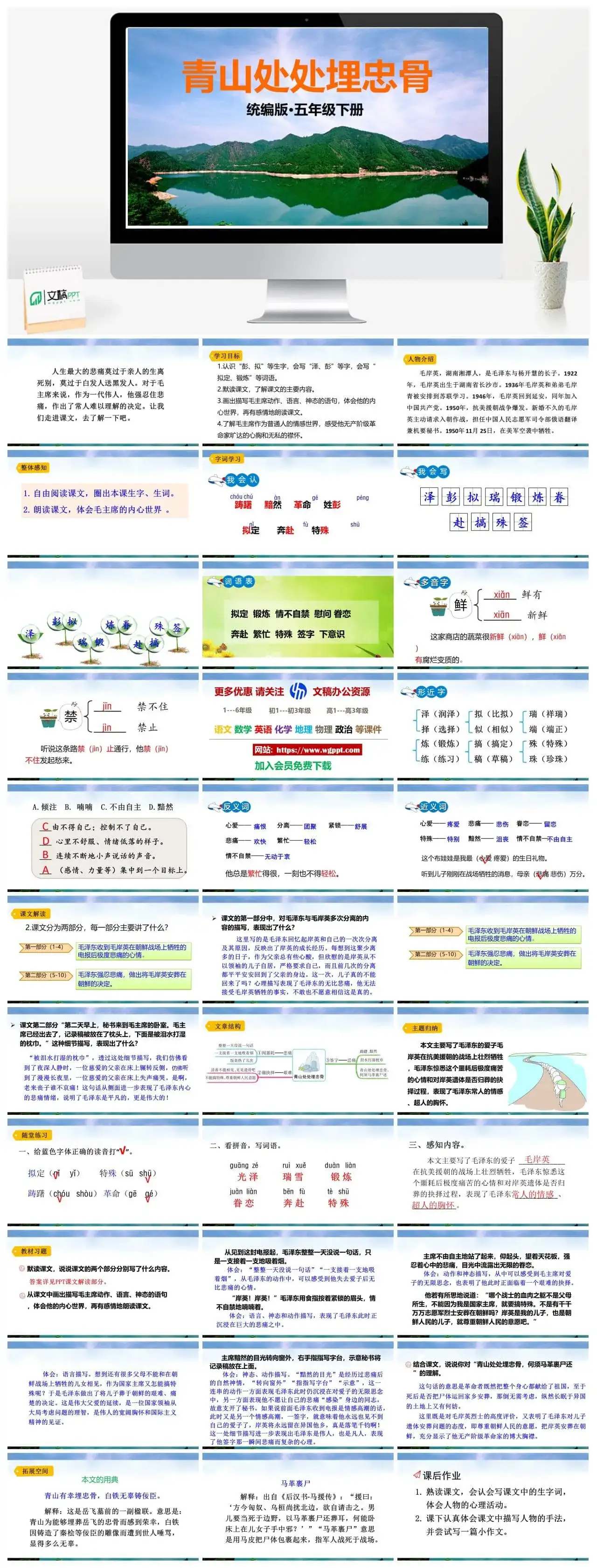 人教部编版语文五年级下册PPT课件青山处处埋忠骨
