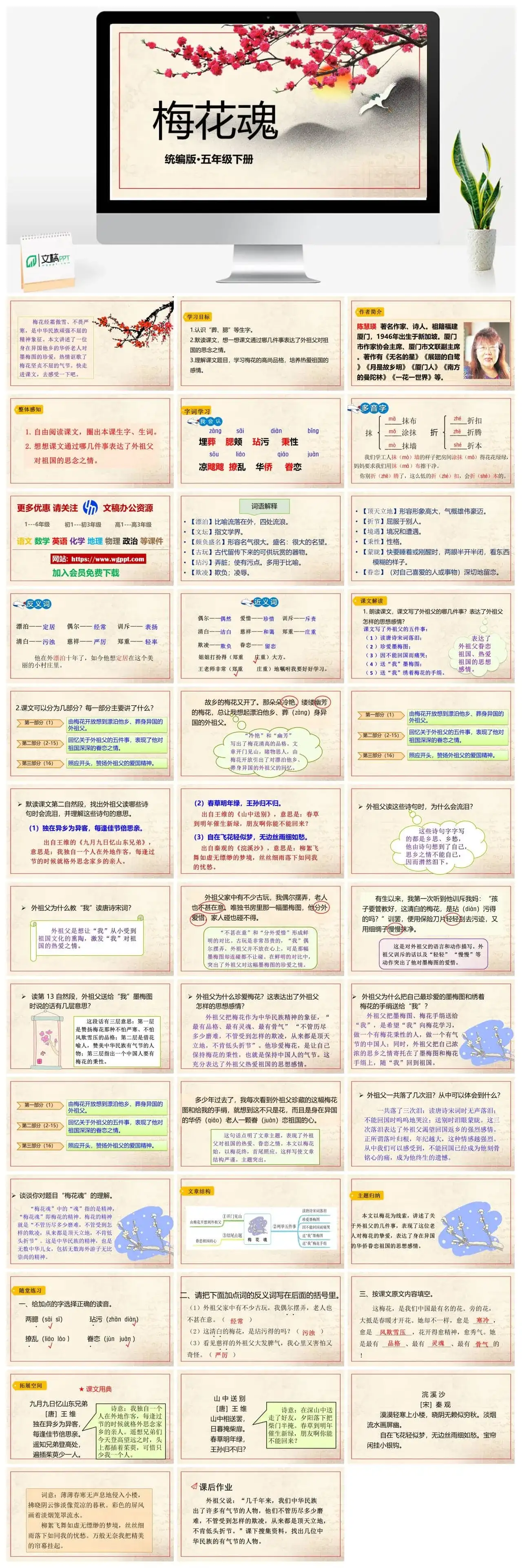 人教部编版语文五年级下册PPT课件梅花魂