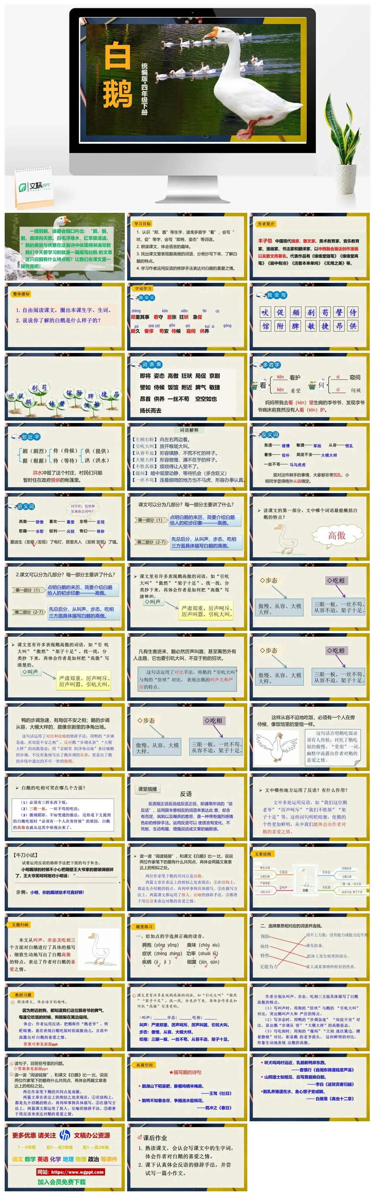 人教部编版语文四年级下册PPT课件白鹅