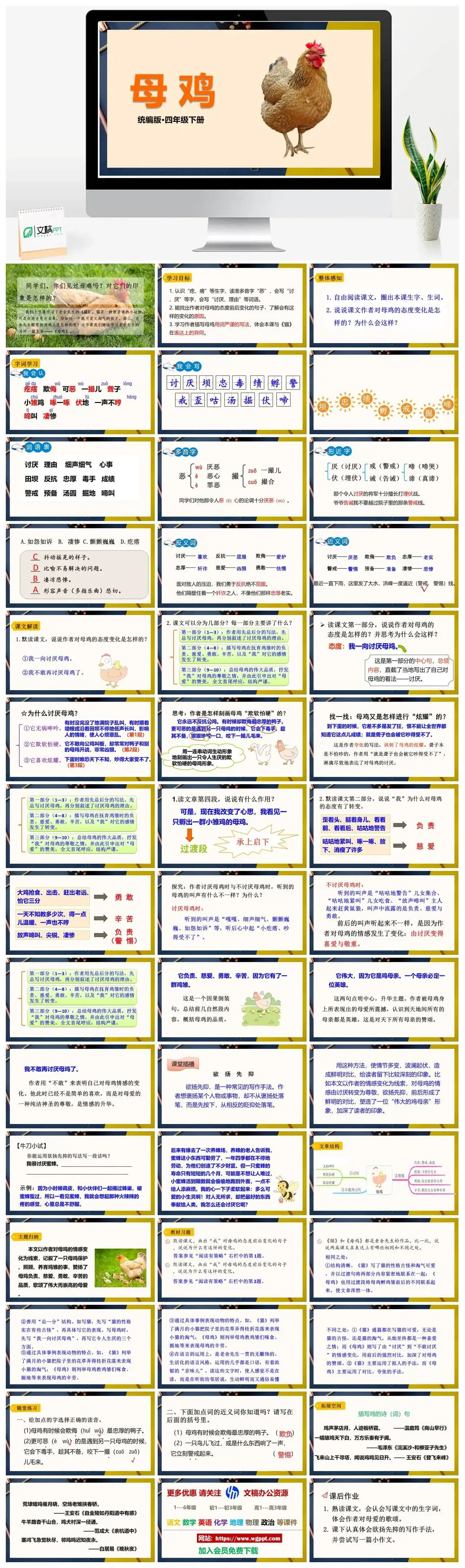 人教部编版语文四年级下册PPT课件母鸡
