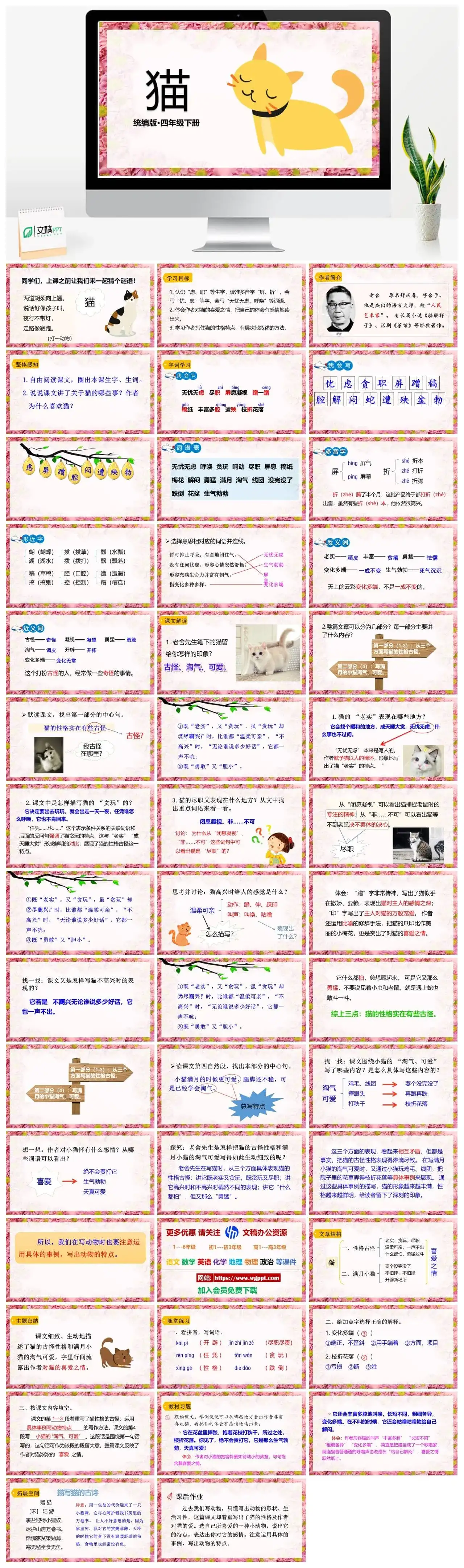 人教部编版语文四年级下册PPT课件猫