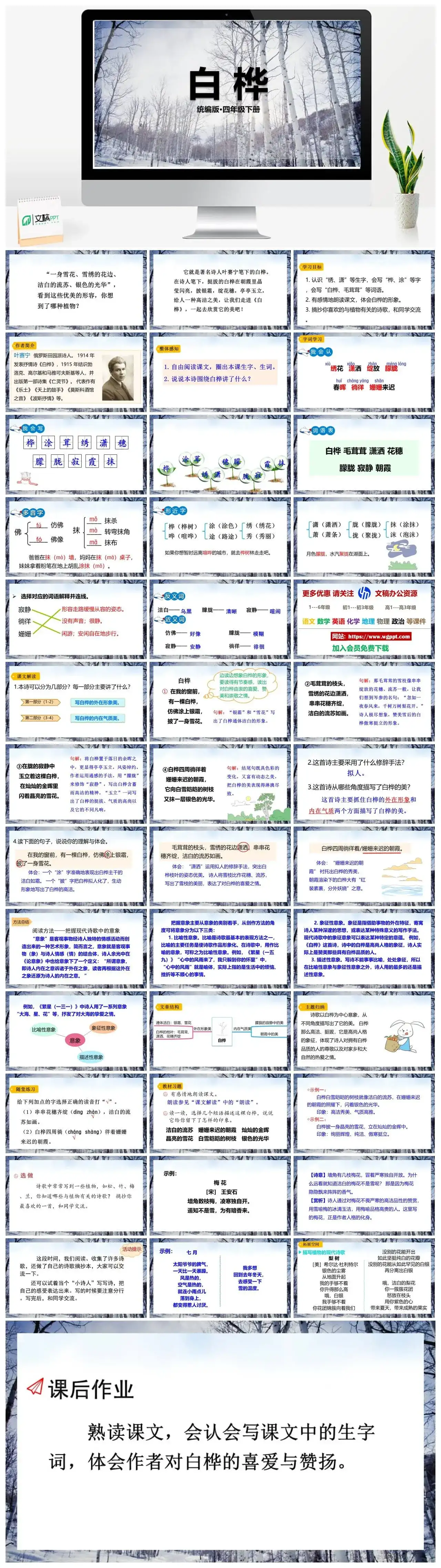 人教部编版语文四年级下册PPT课件白桦
