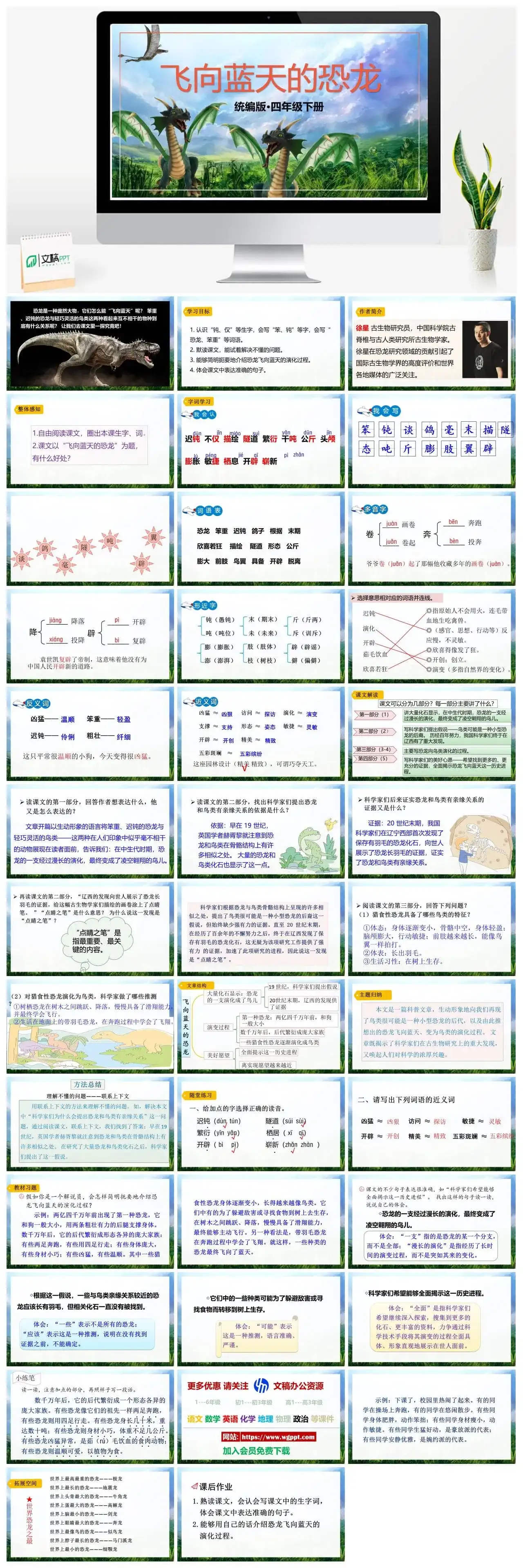 人教部编版语文四年级下册PPT课件飞向蓝天的恐龙