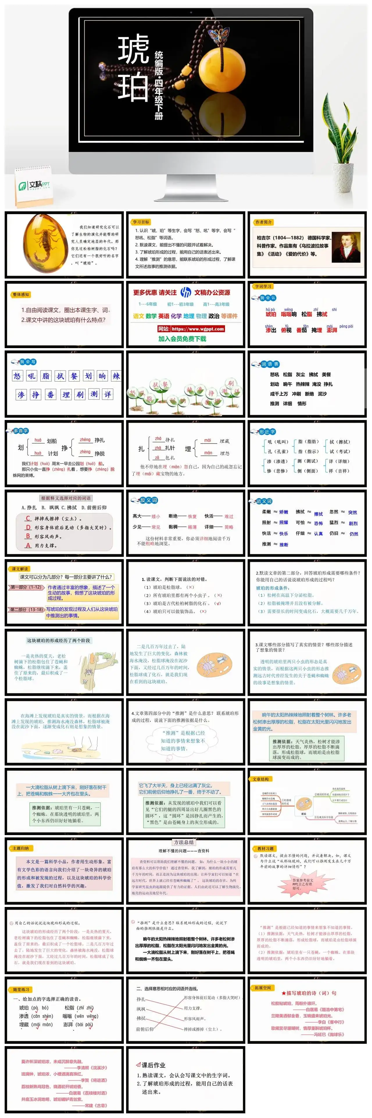 人教部编版语文四年级下册PPT课件琥珀