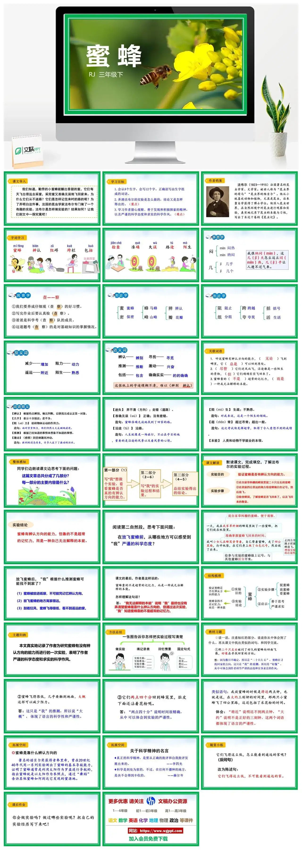 人教部编版语文三年级下册PPT课件蜜蜂