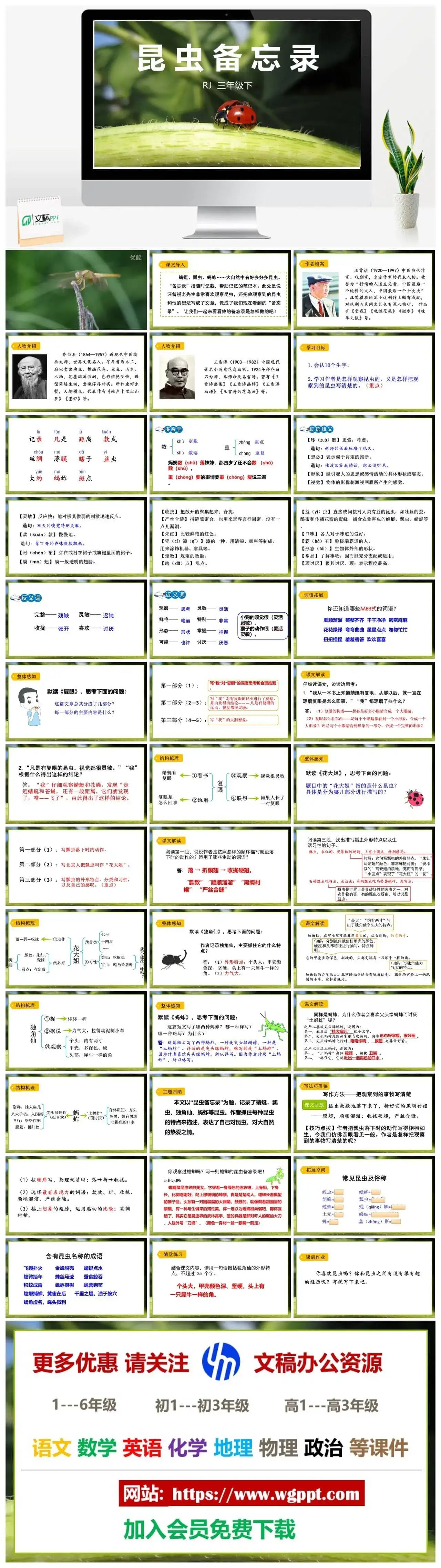 人教部编版语文三年级下册PPT课件昆虫备忘录